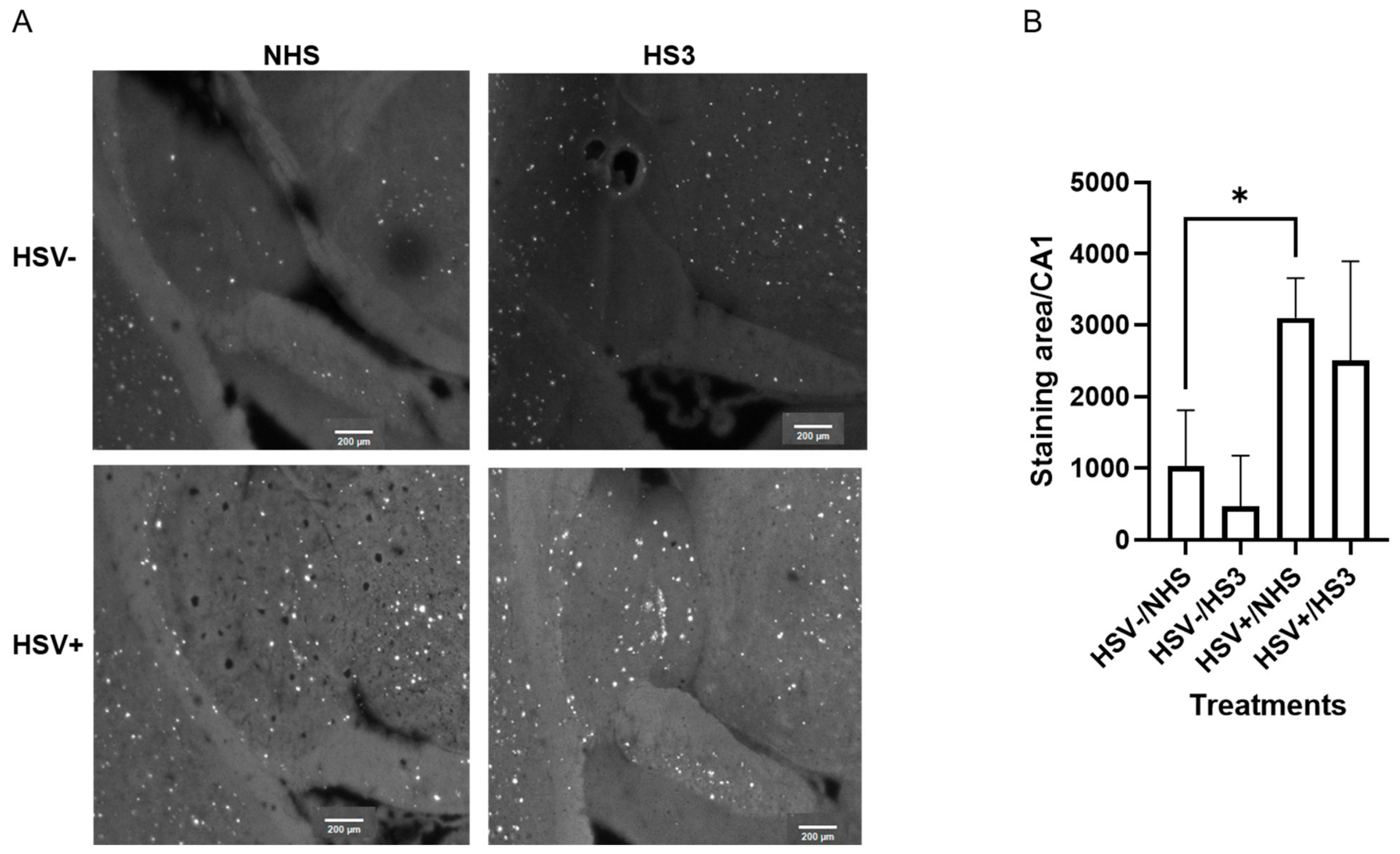 Cells 15 01841 g006 Cells 15 01841 g006