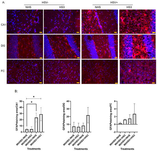 Cells 15 01841 g009a Cells 15 01841 g009a