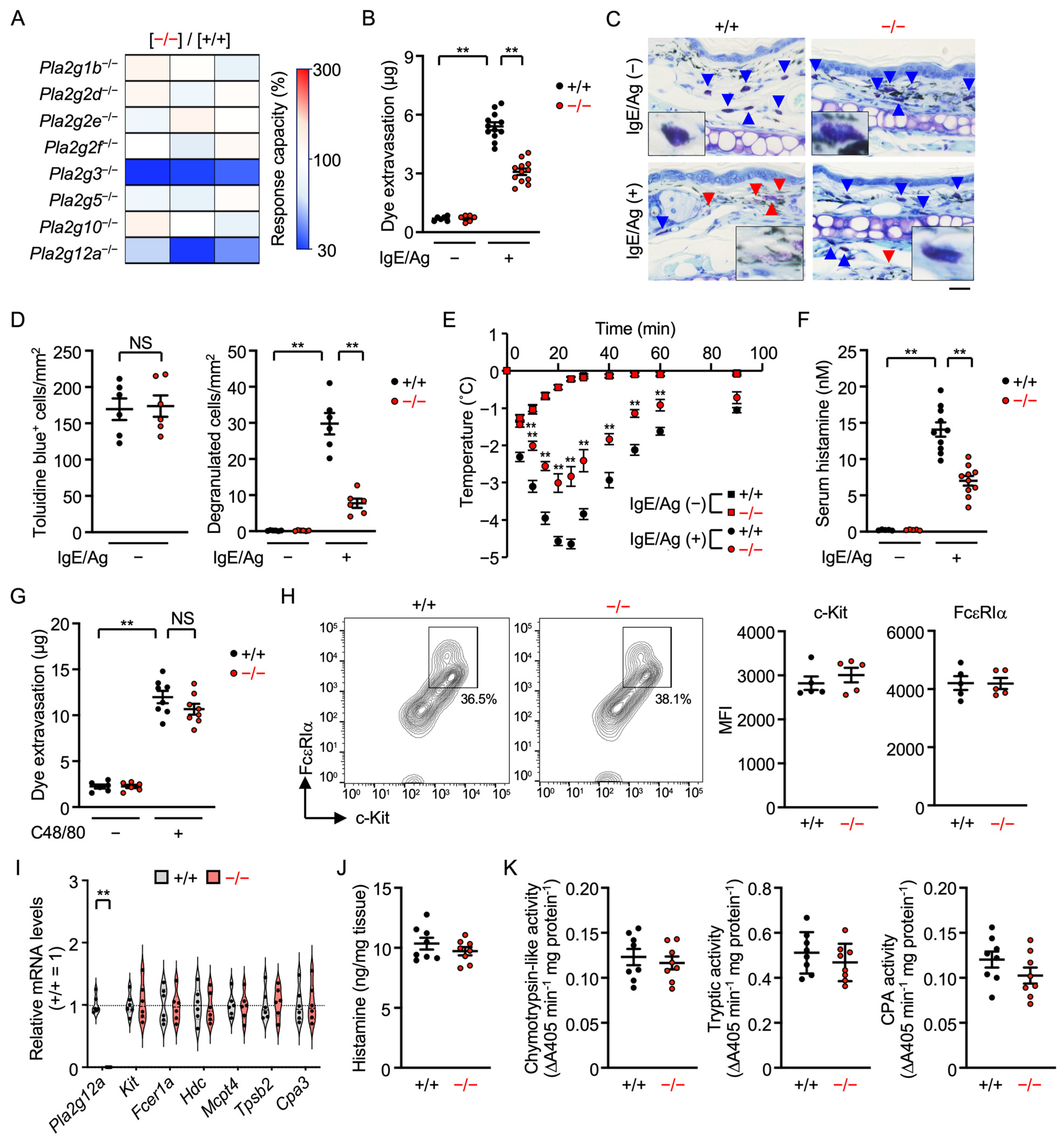 Cells 15 01848 g001 Cells 15 01848 g001
