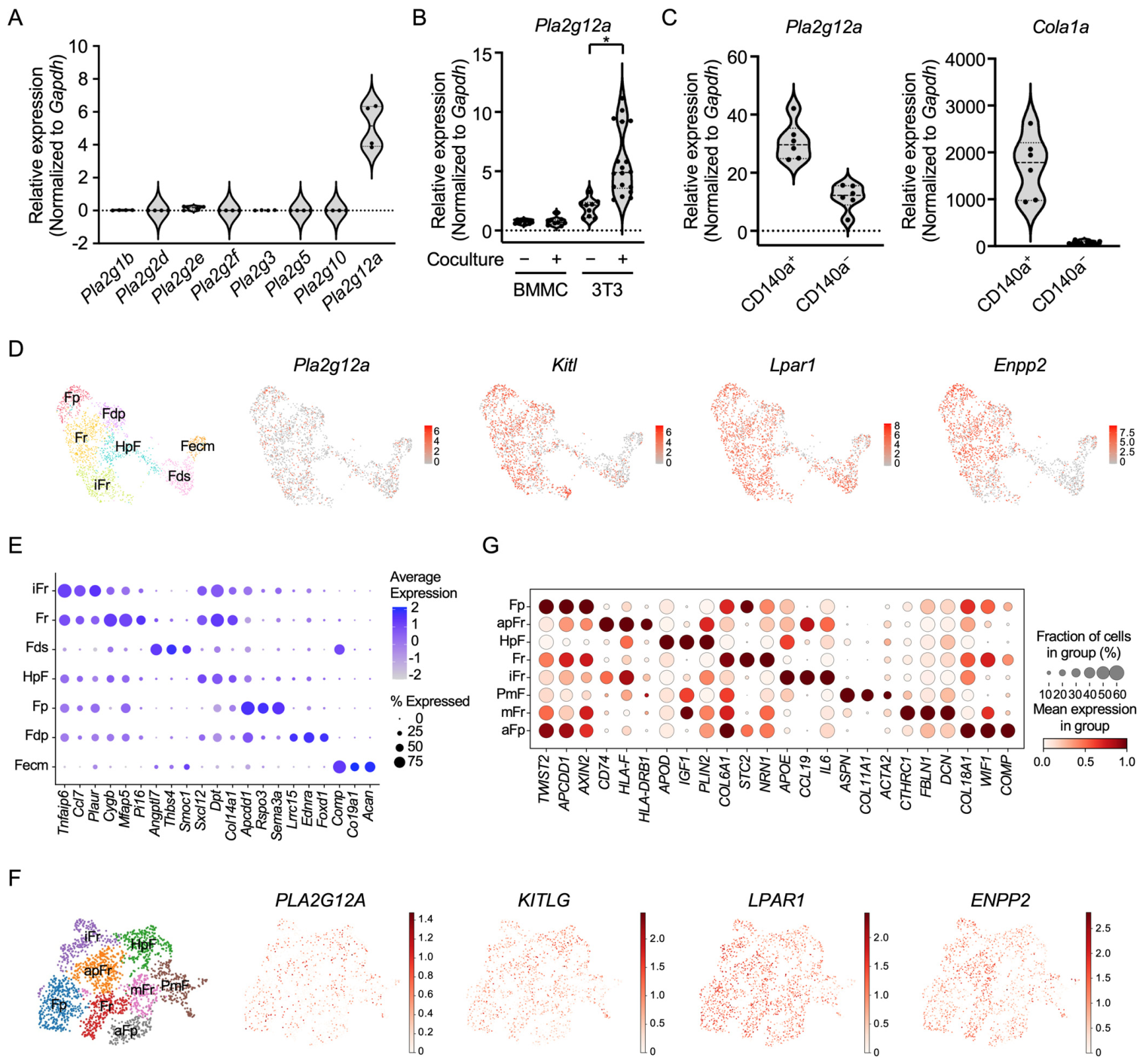 Cells 15 01848 g003 Cells 15 01848 g003