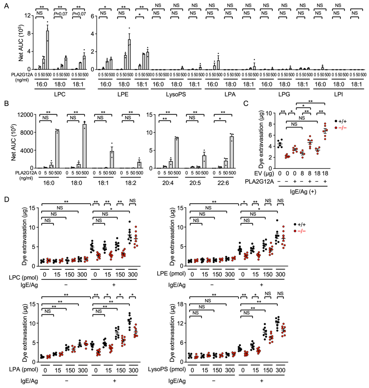 Cells 15 01848 g006 Cells 15 01848 g006