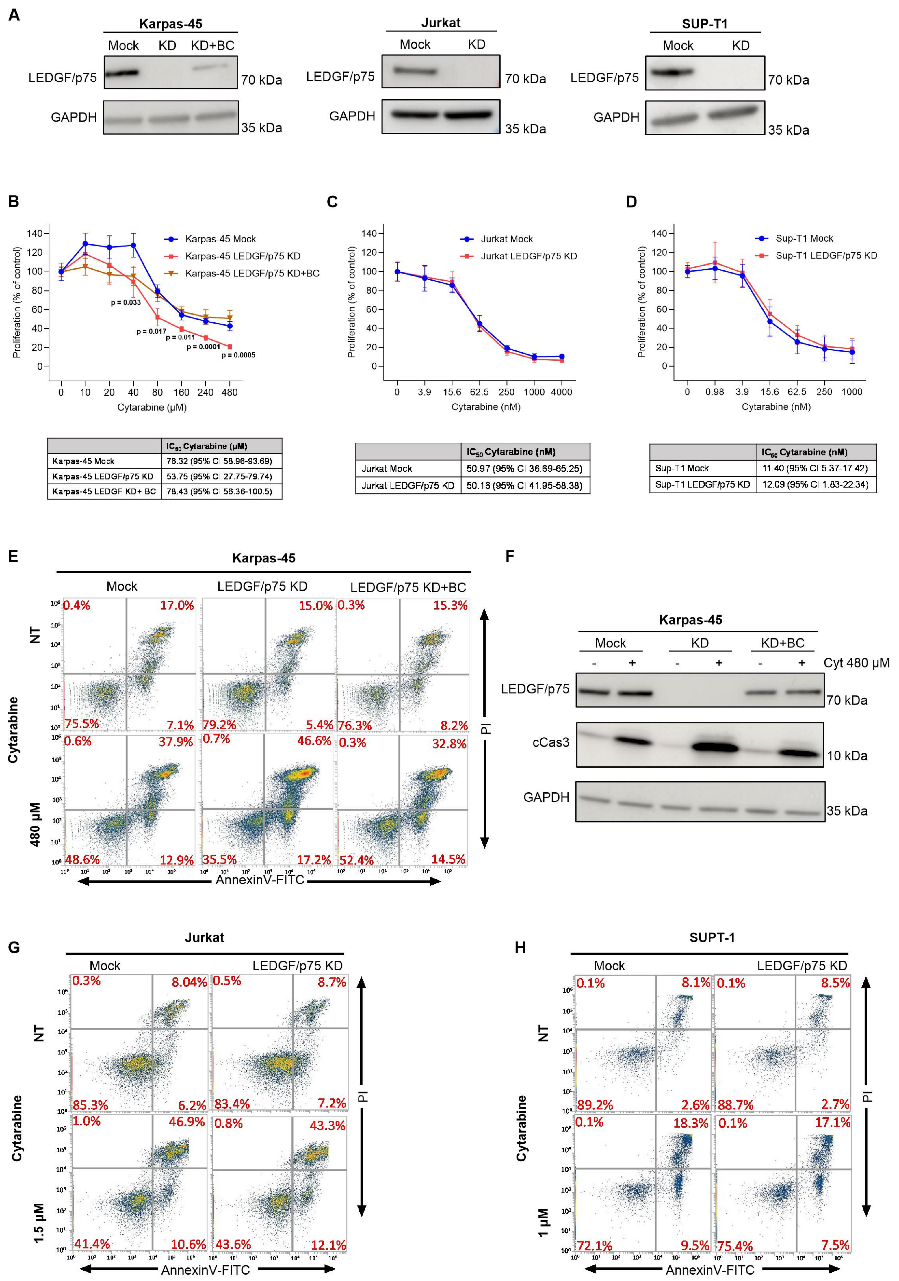 Cells 15 01866 g002 Cells 15 01866 g002