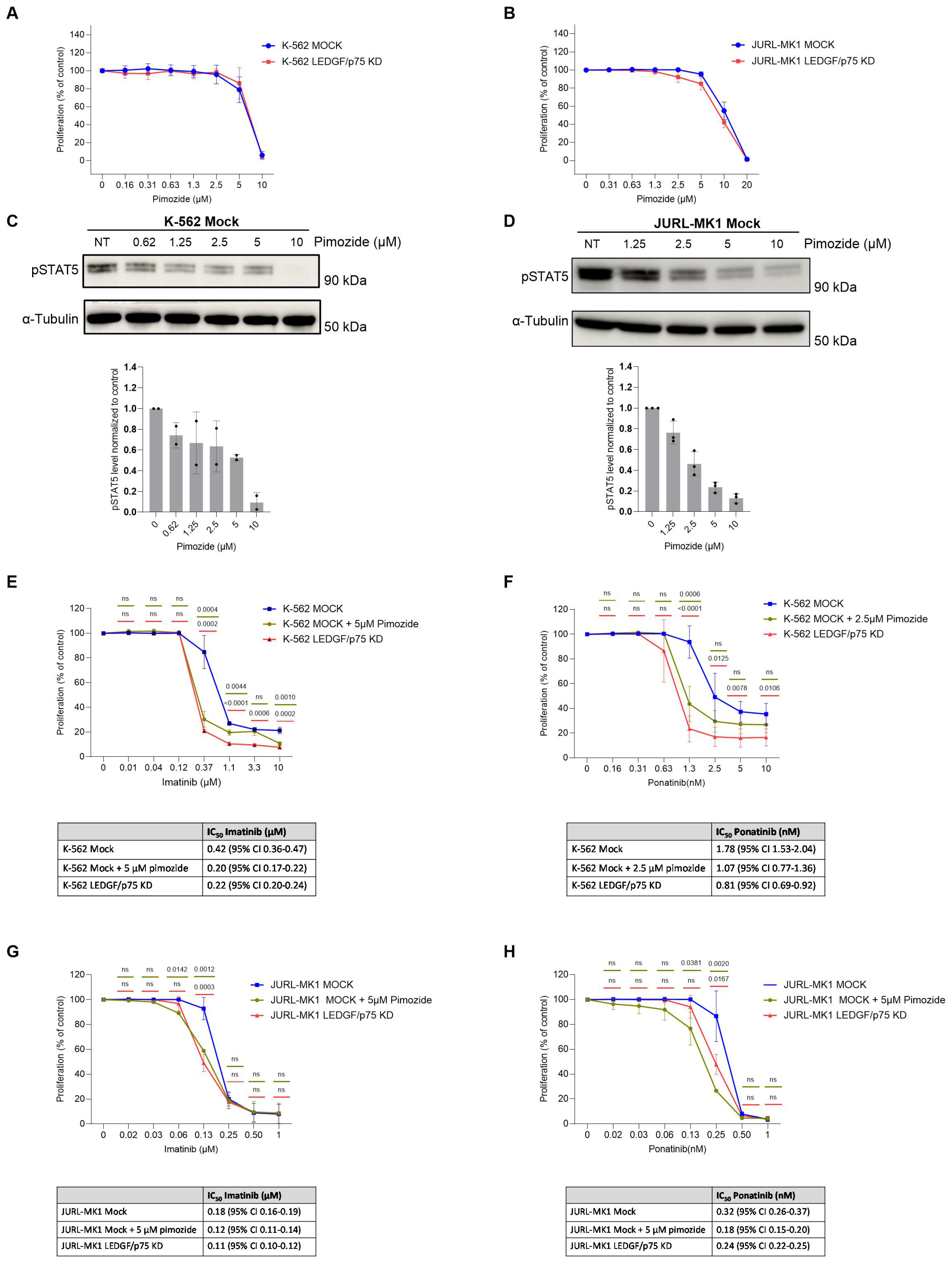 Cells 15 01866 g006 Cells 15 01866 g006