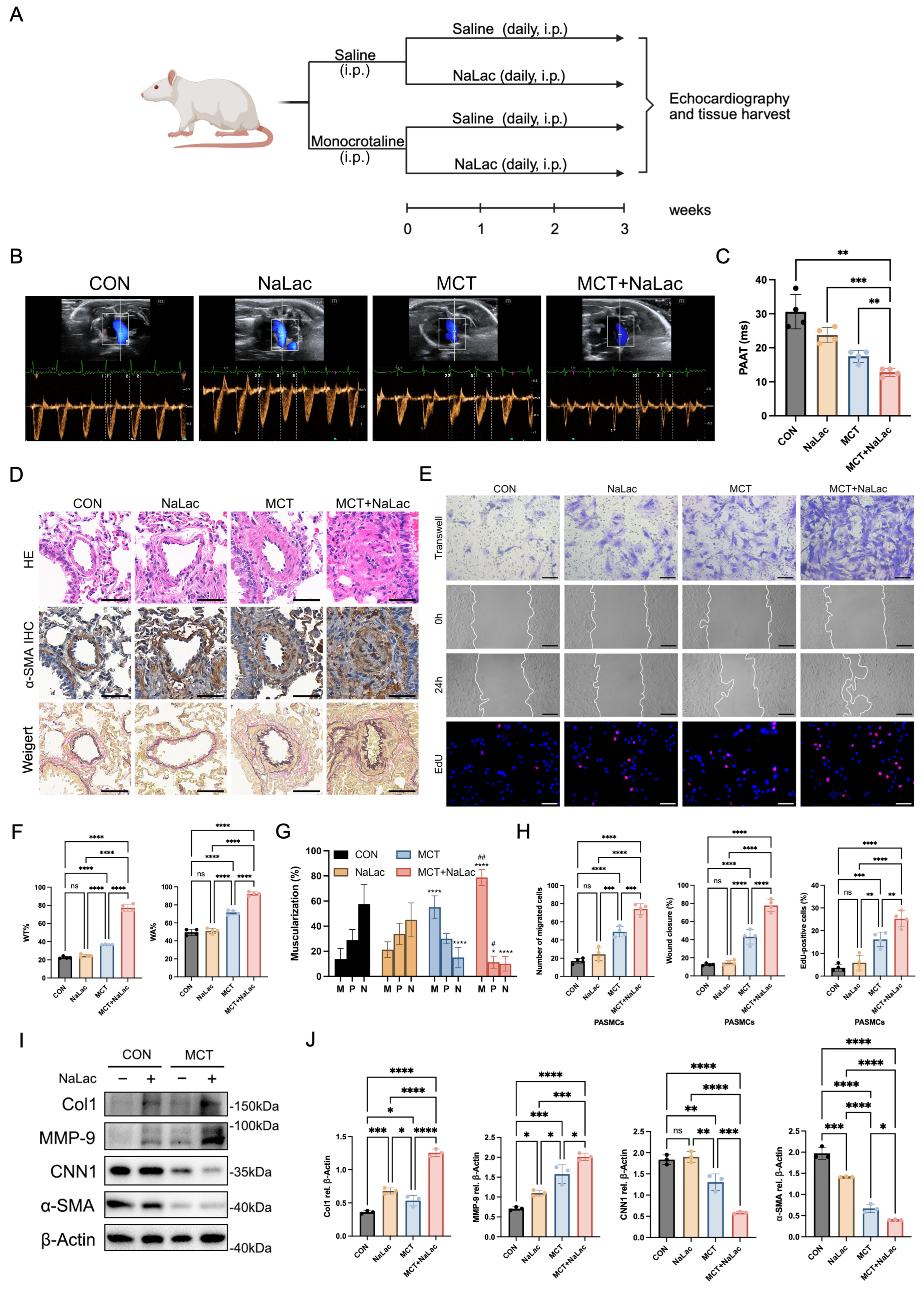 Cells 15 01900 g003