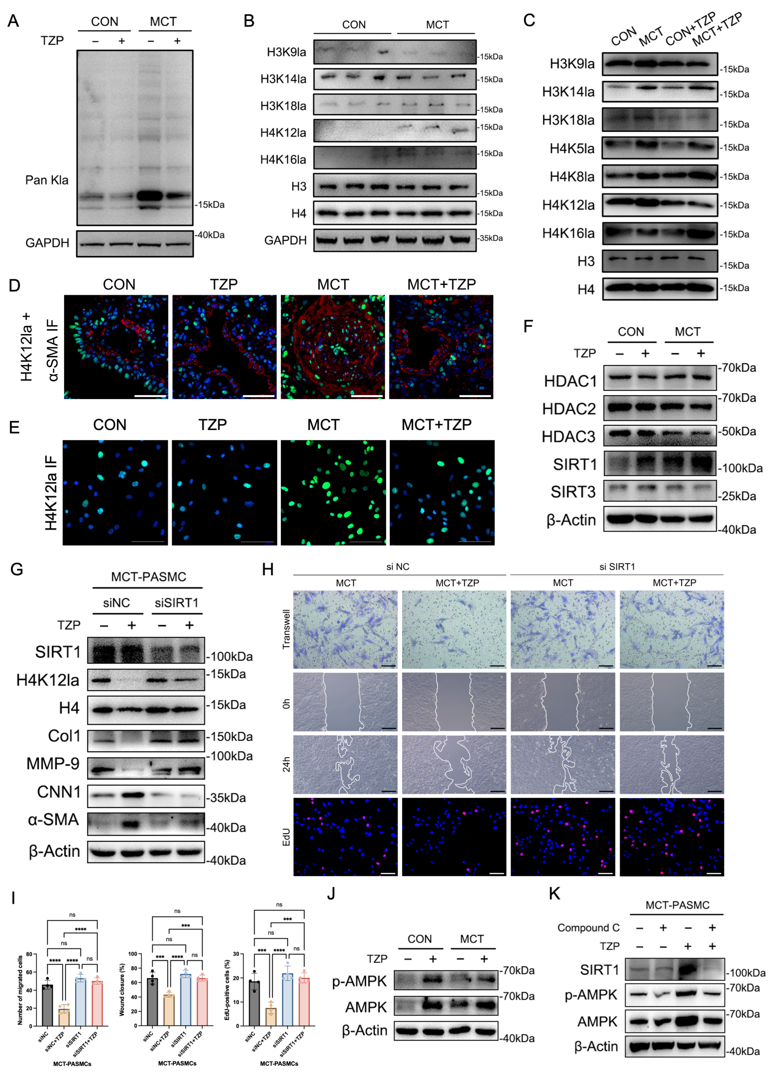 Cells 15 01900 g004