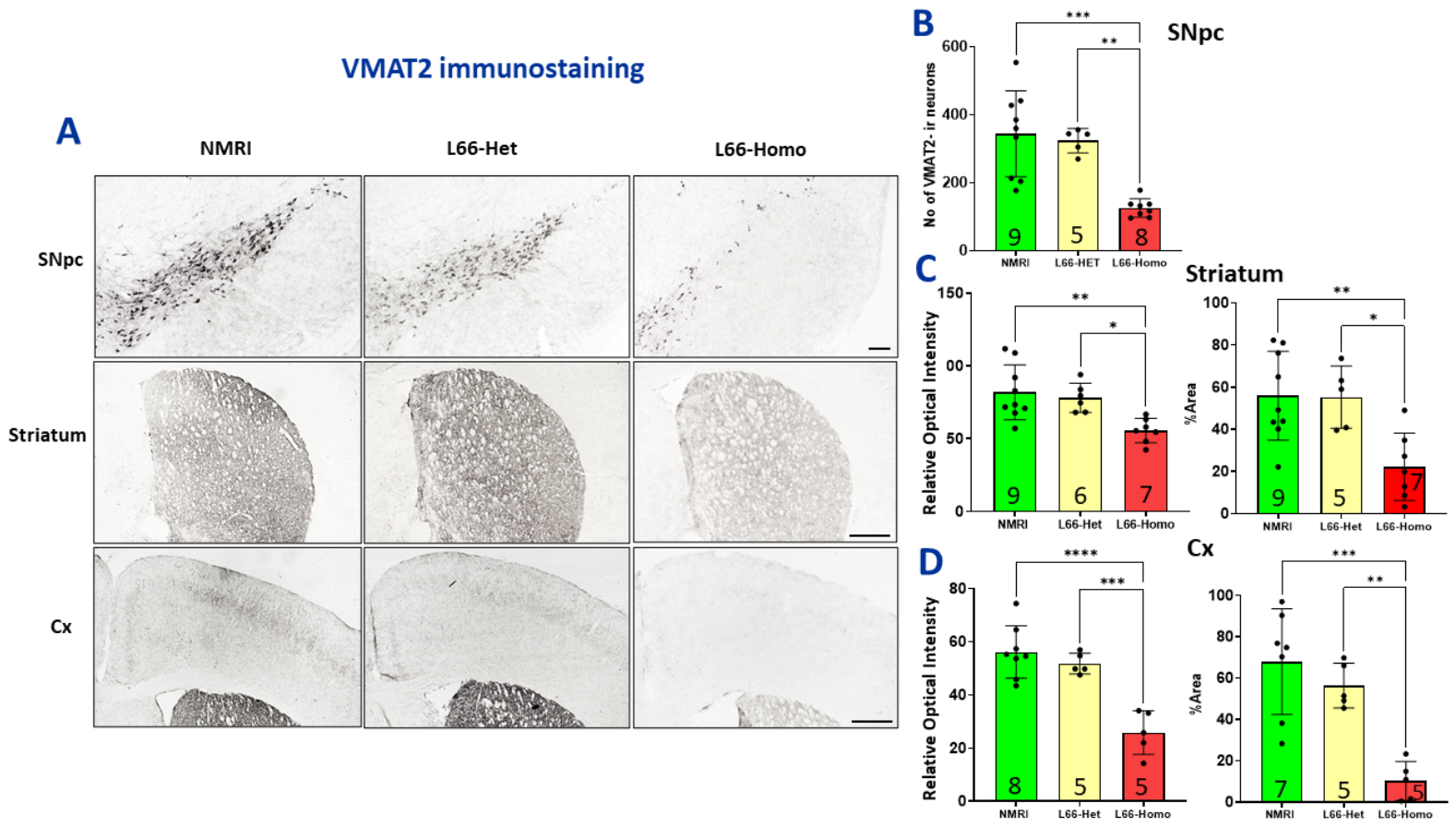 Cells 15 01908 g006