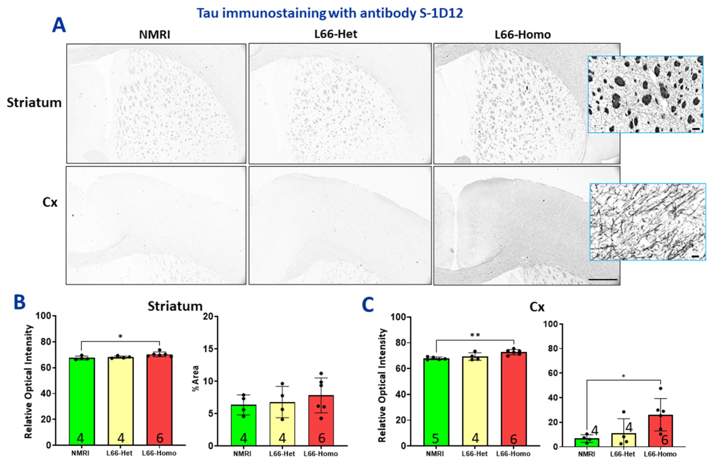 Cells 15 01908 g008