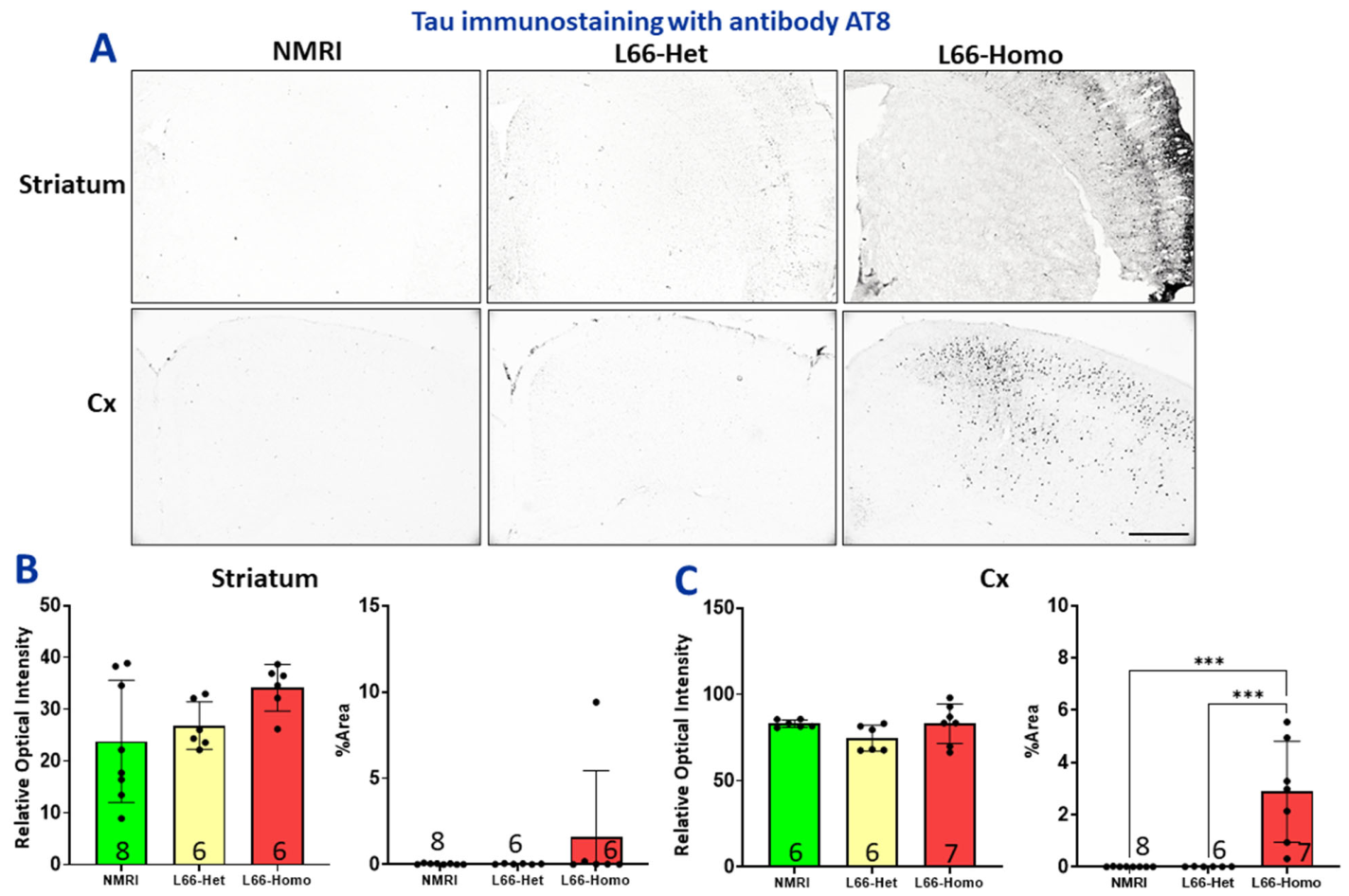 Cells 15 01908 g009