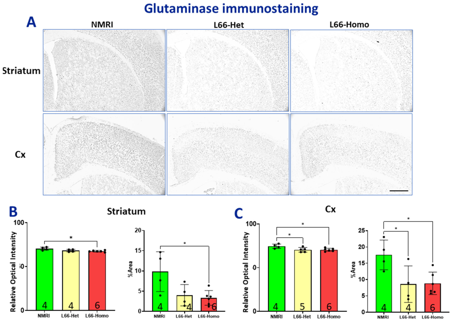 Cells 15 01908 g013