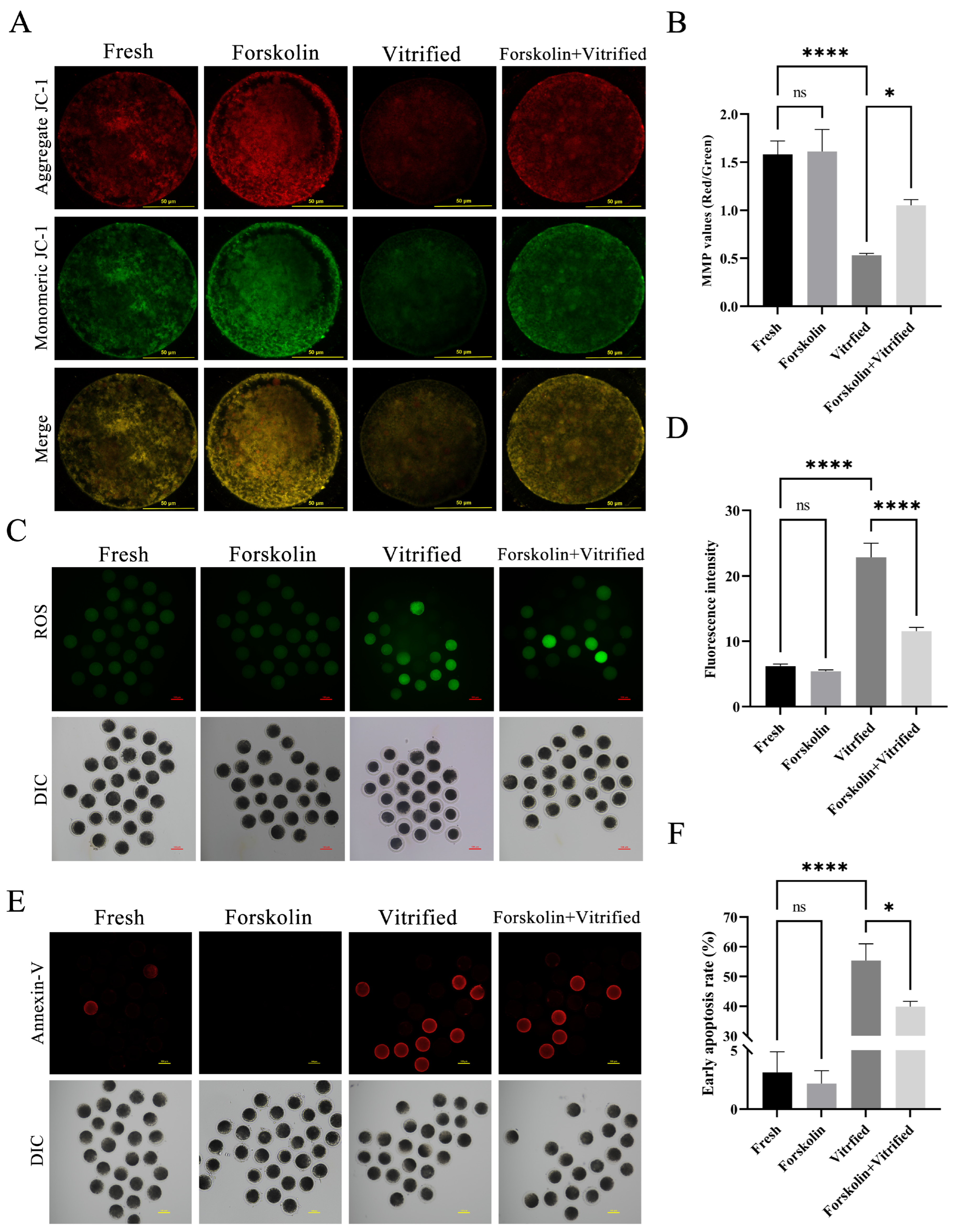 Cells 15 01909 g003 Cells 15 01909 g003