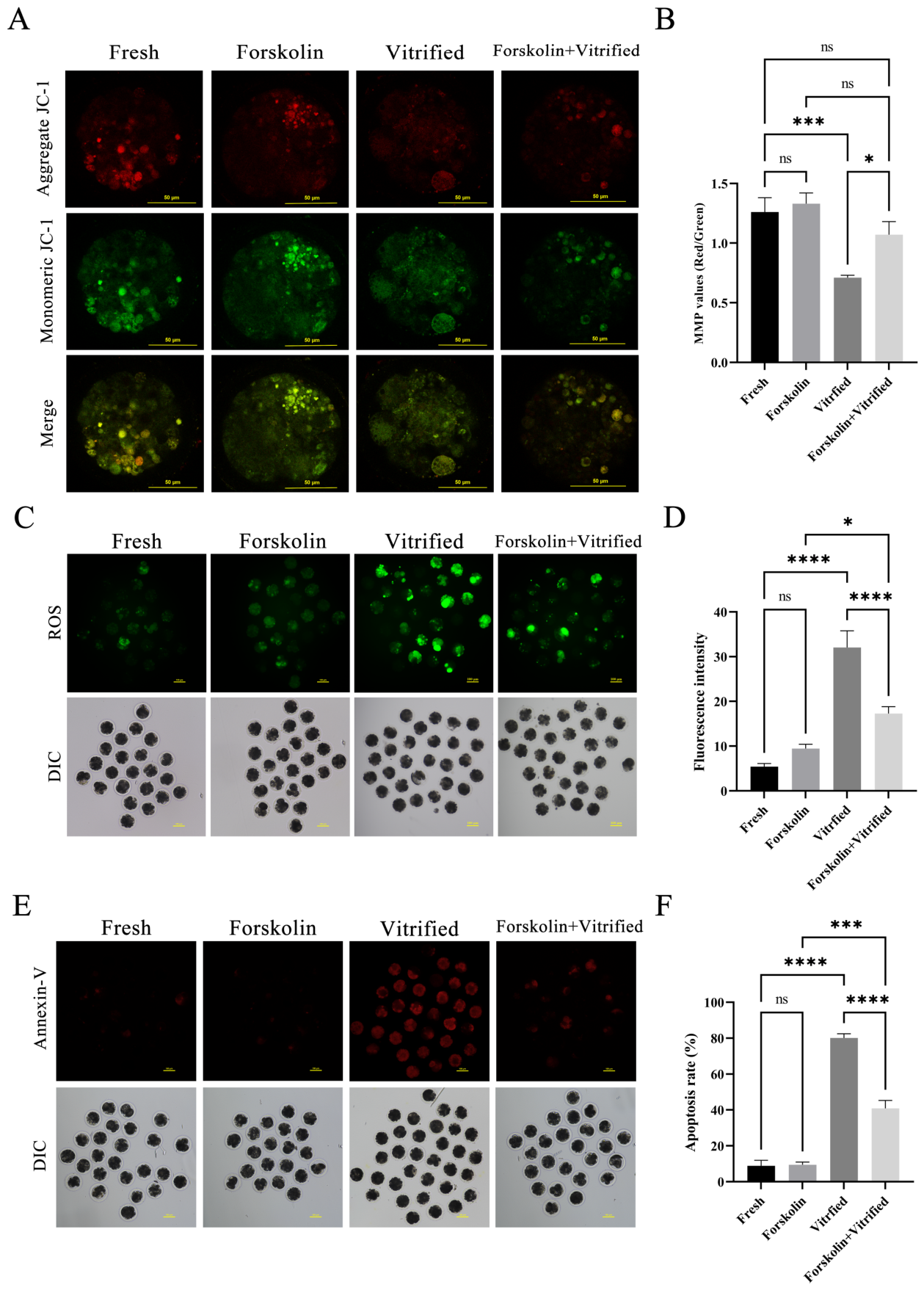 Cells 15 01909 g005 Cells 15 01909 g005