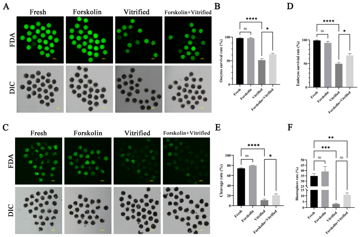 Cells 15 01909 g006 Cells 15 01909 g006
