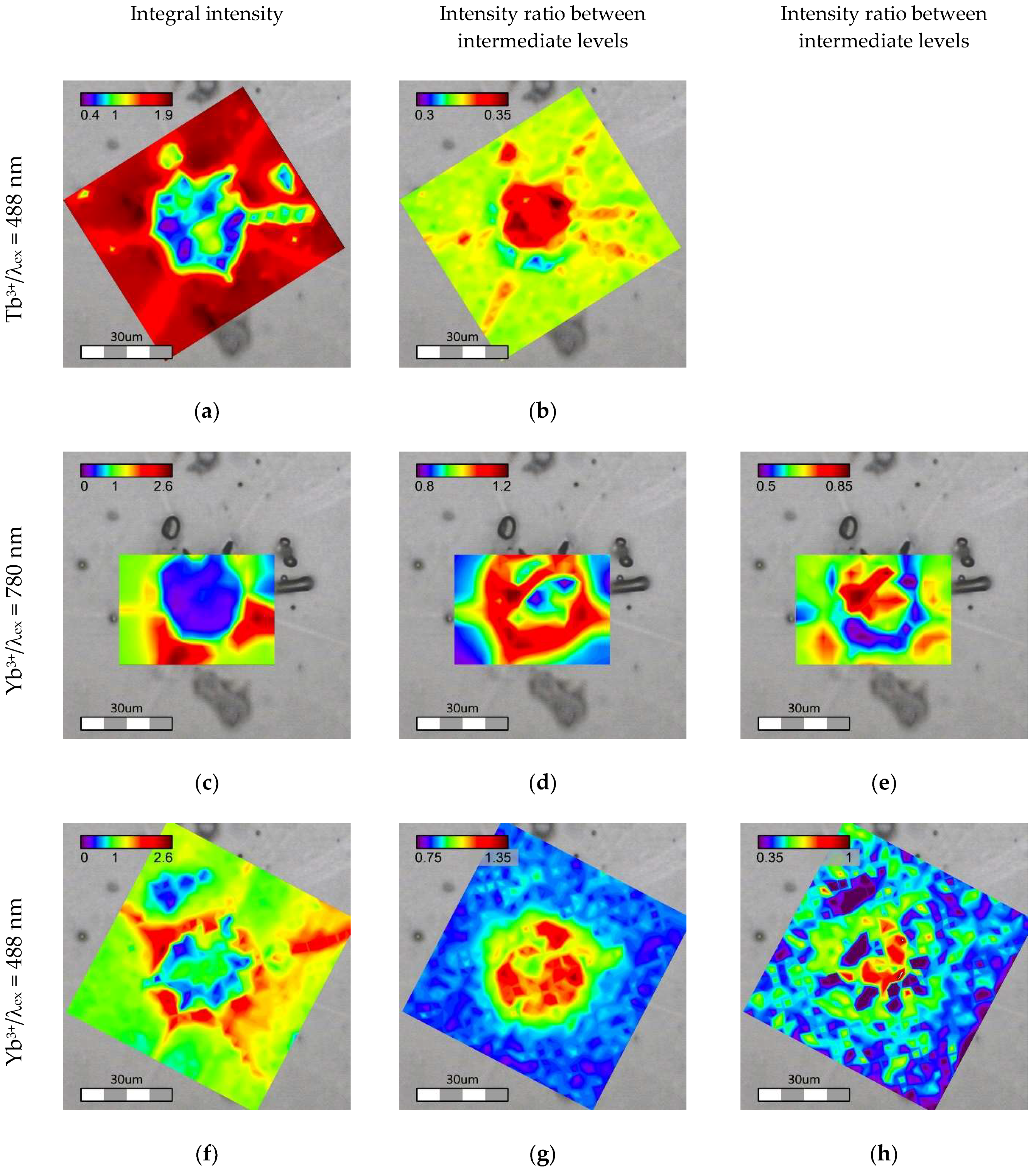 Ceramics 01 00022 g009