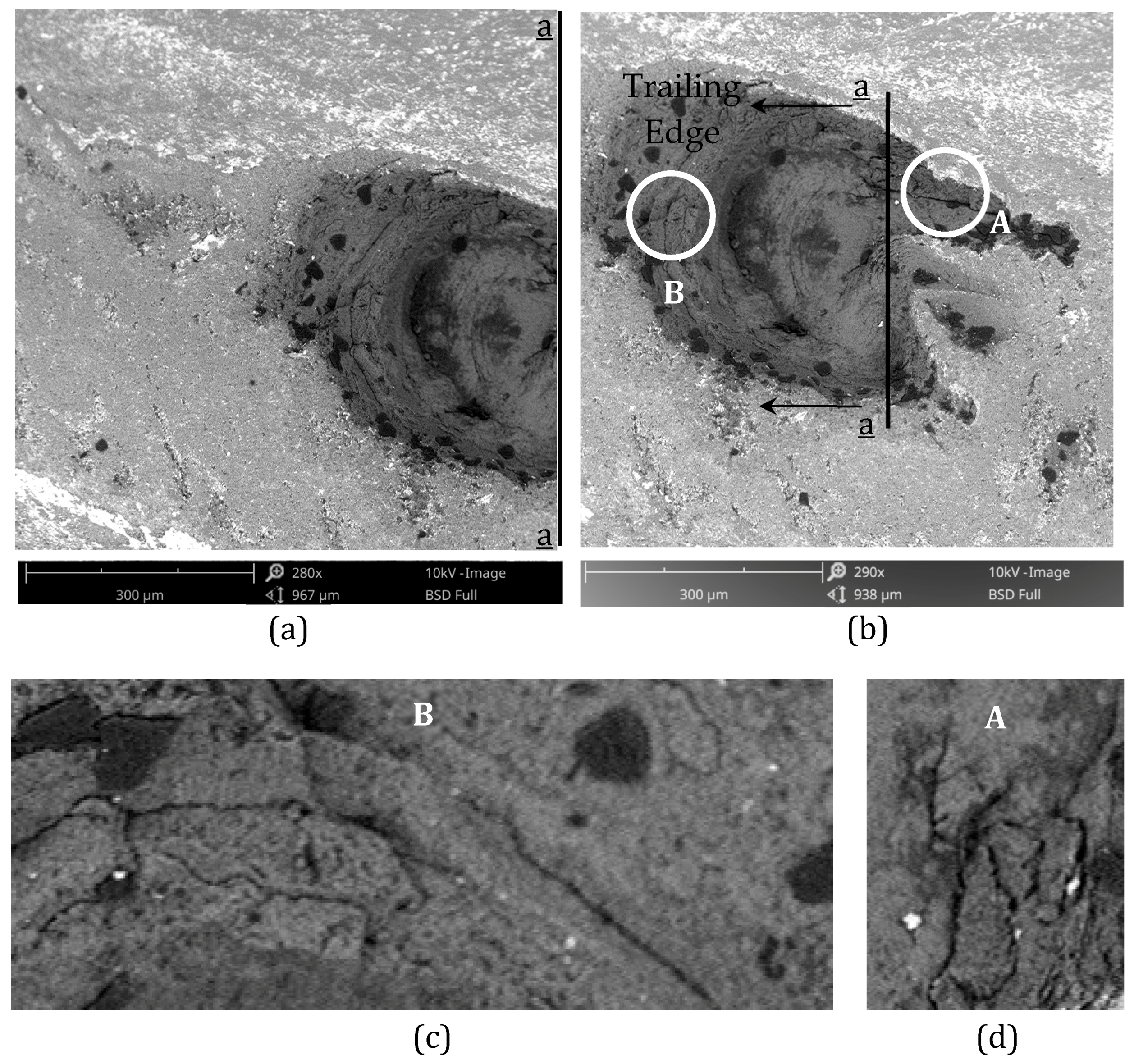Ceramics 02 00013 g009