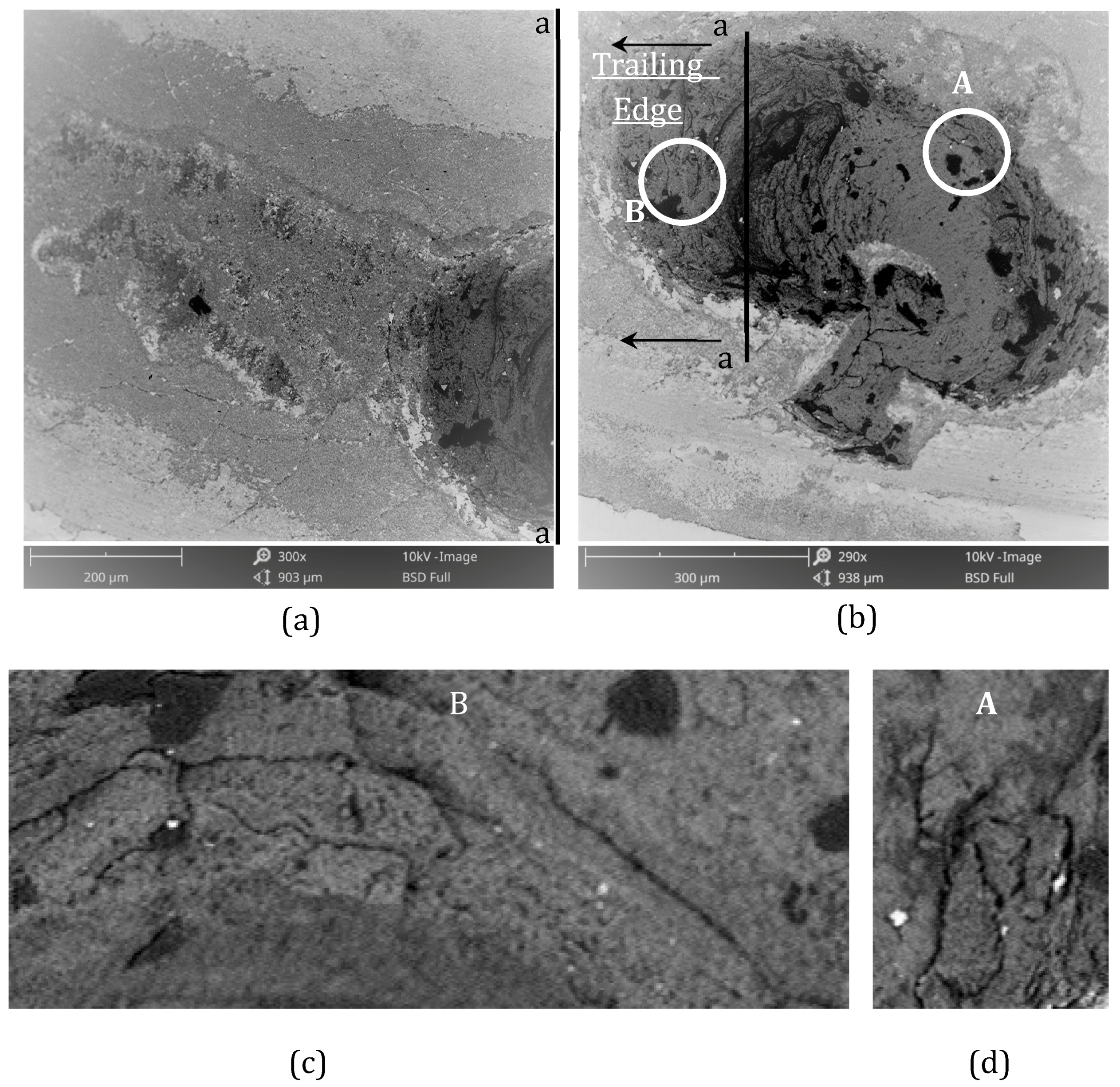 Ceramics 02 00013 g010