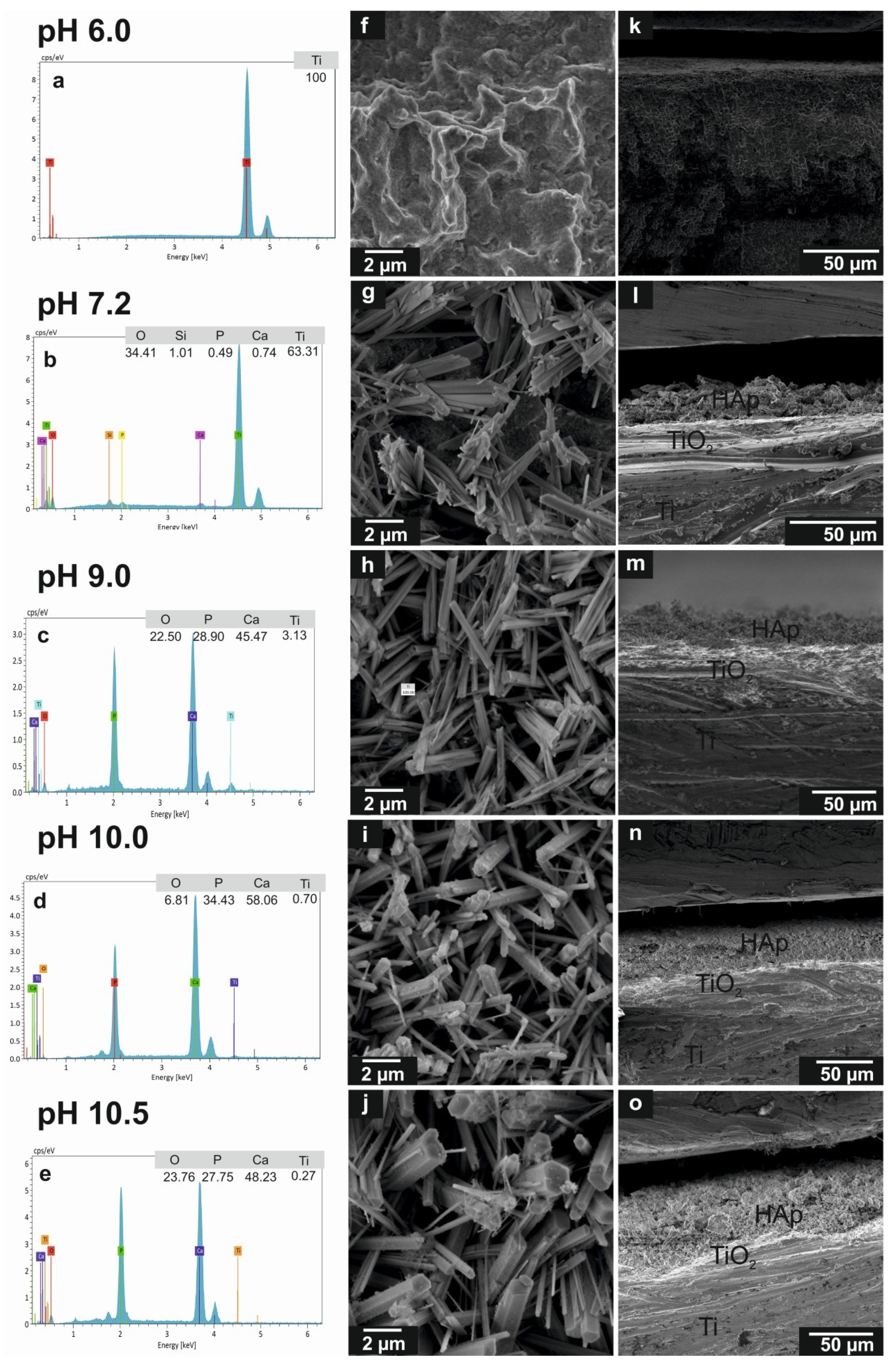 Ceramics 02 00016 g001