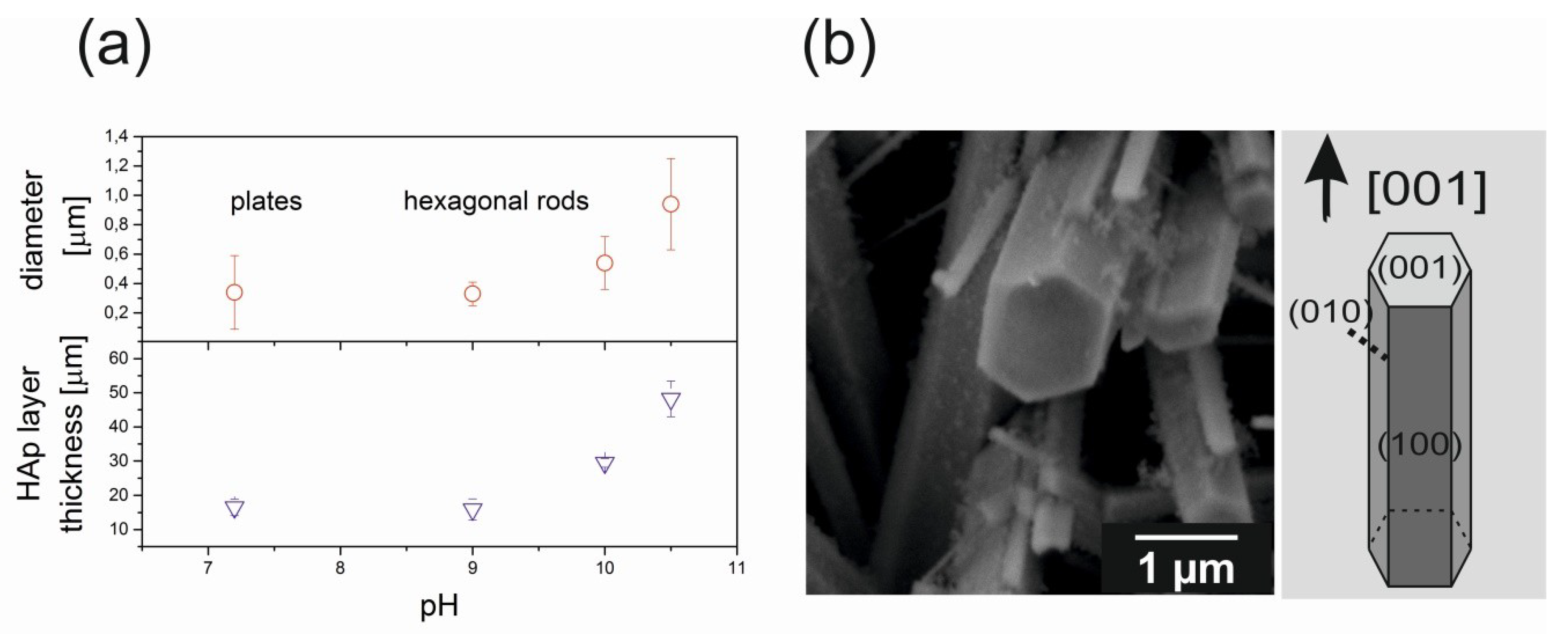 Ceramics 02 00016 g002