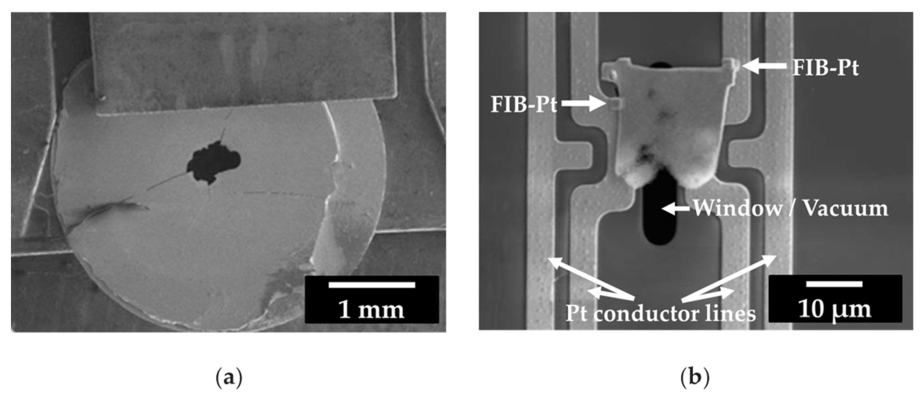 Ceramics 02 00036 g002