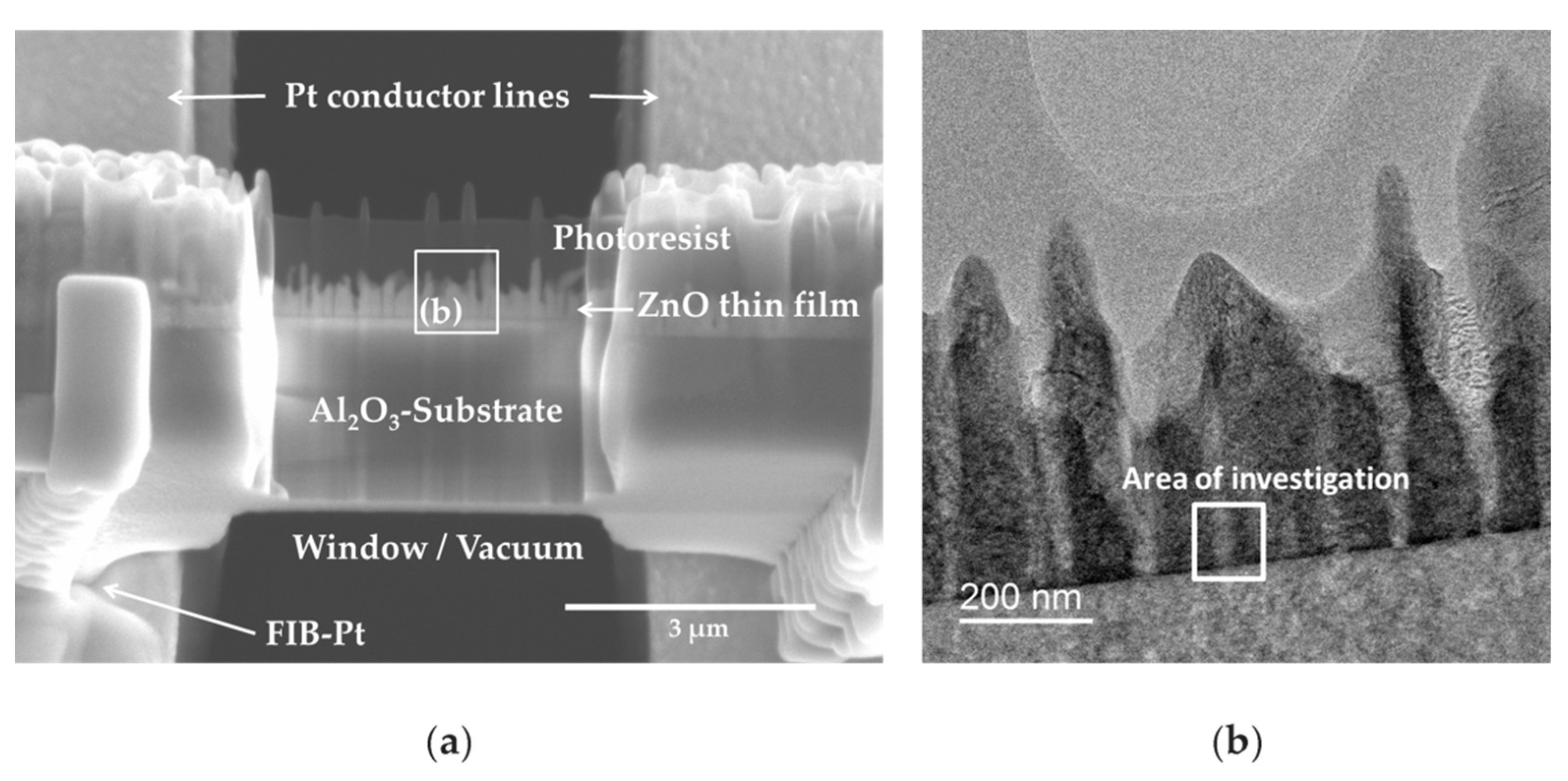 Ceramics 02 00036 g004