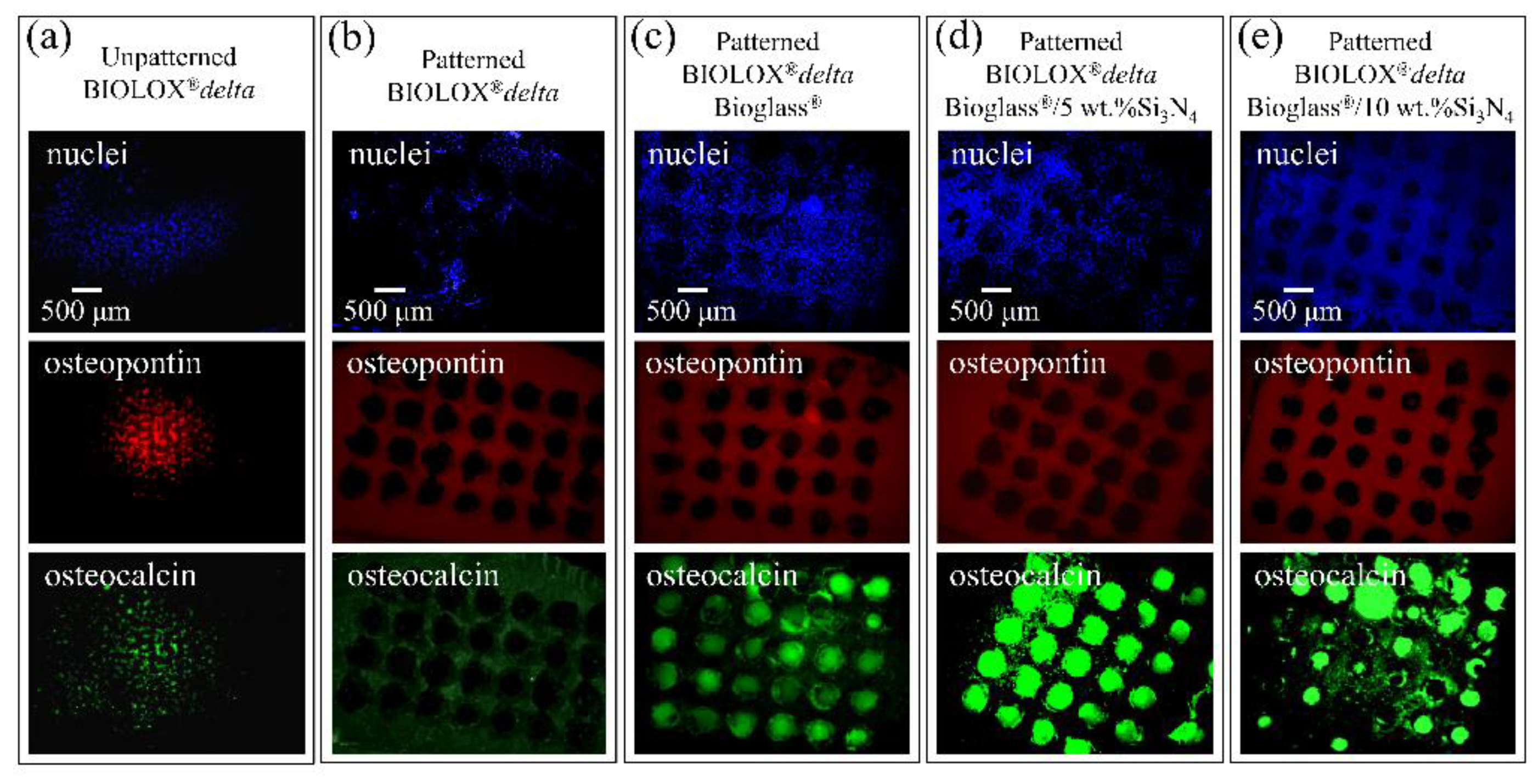 Ceramics 02 00043 g004