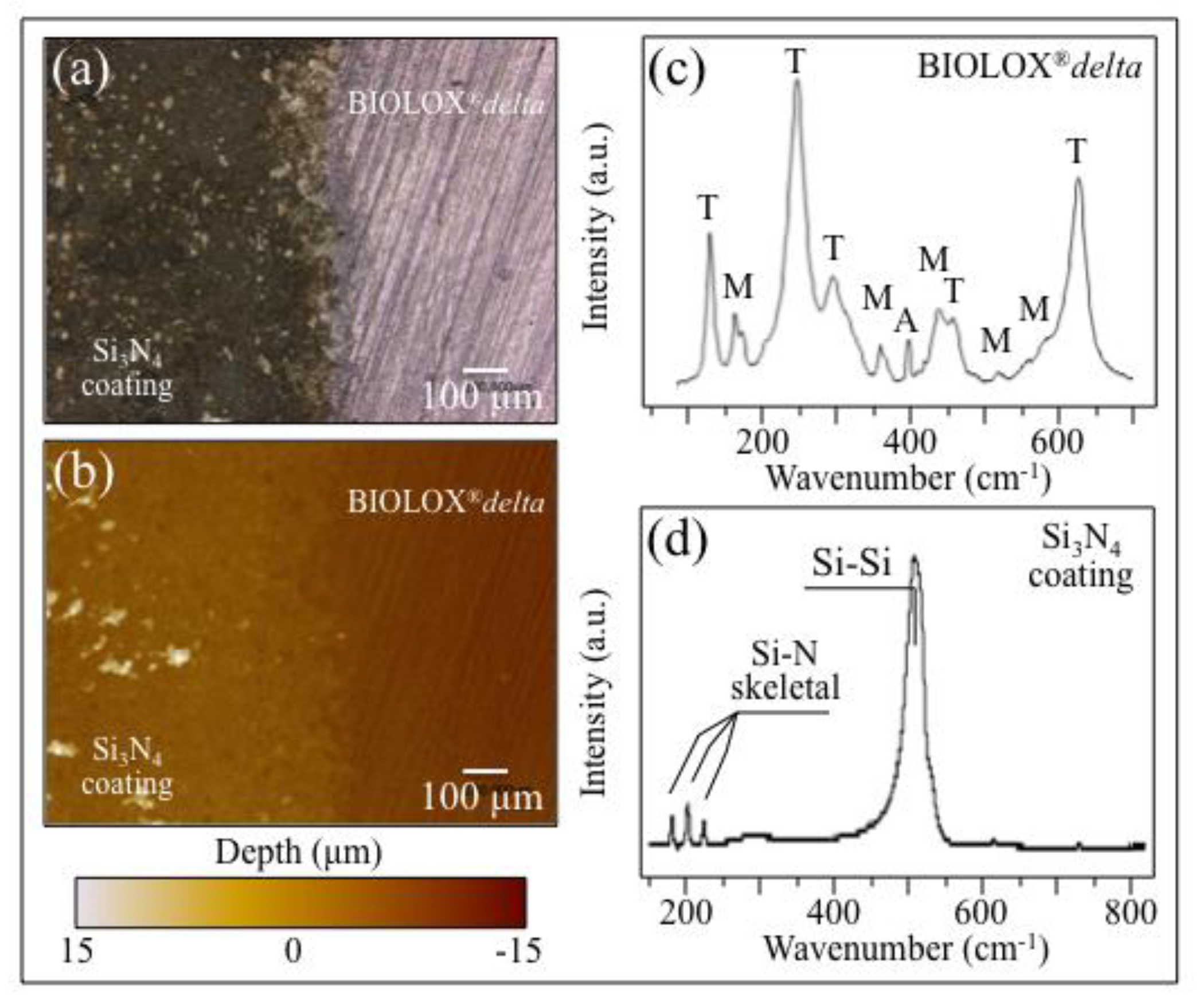 Ceramics 02 00043 g007