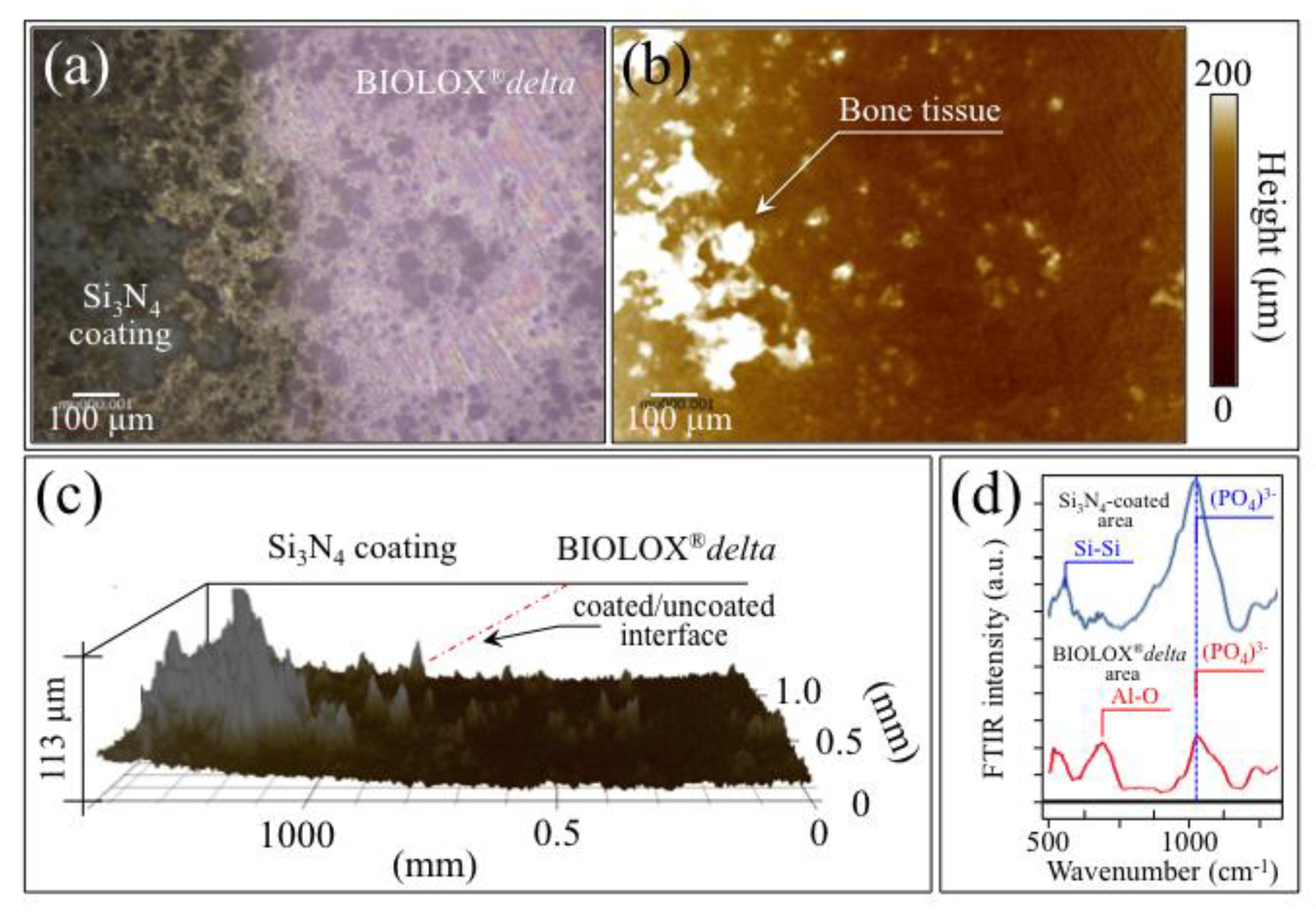 Ceramics 02 00043 g009