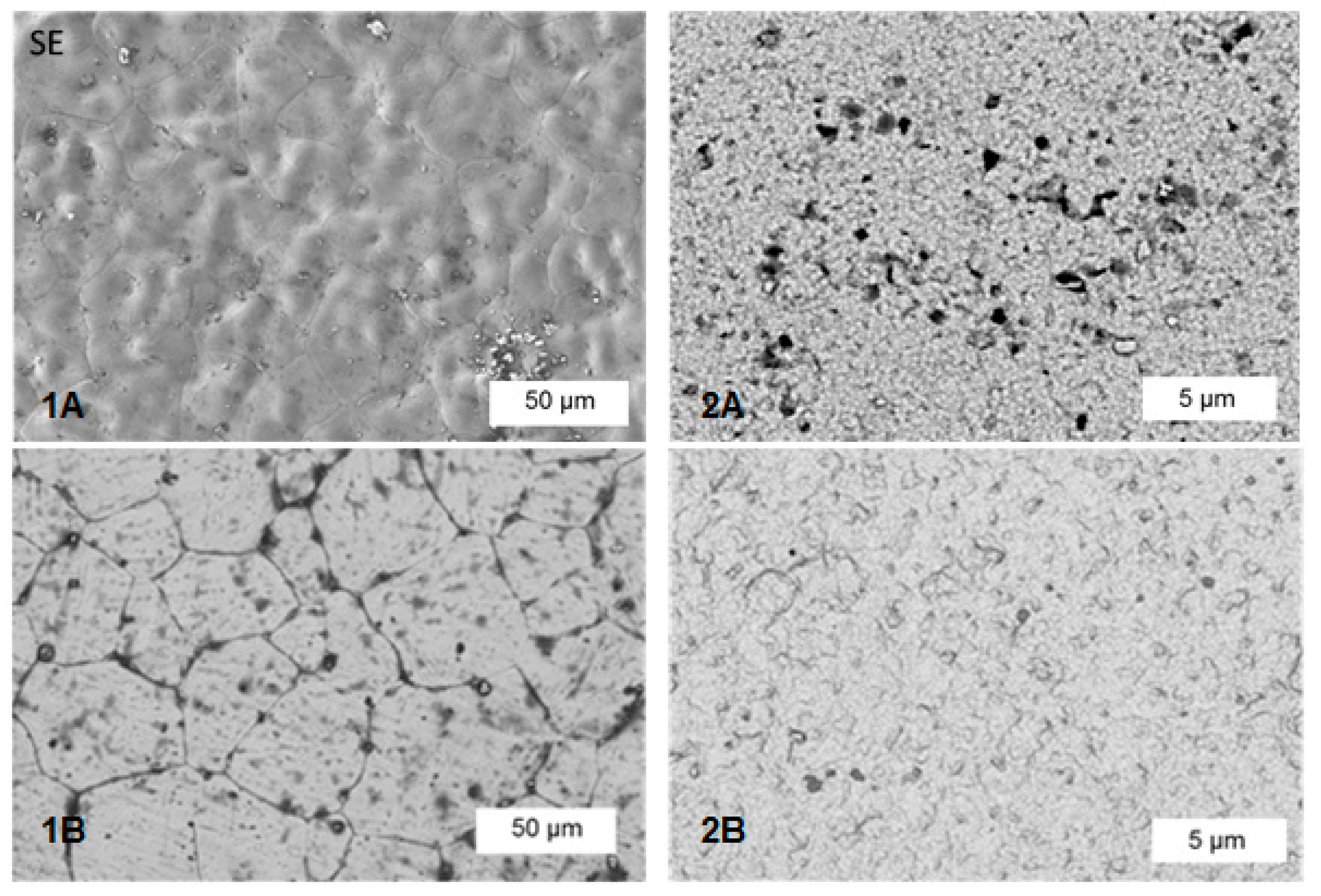 Ceramics 03 00022 g008 Ceramics 03 00022 g008