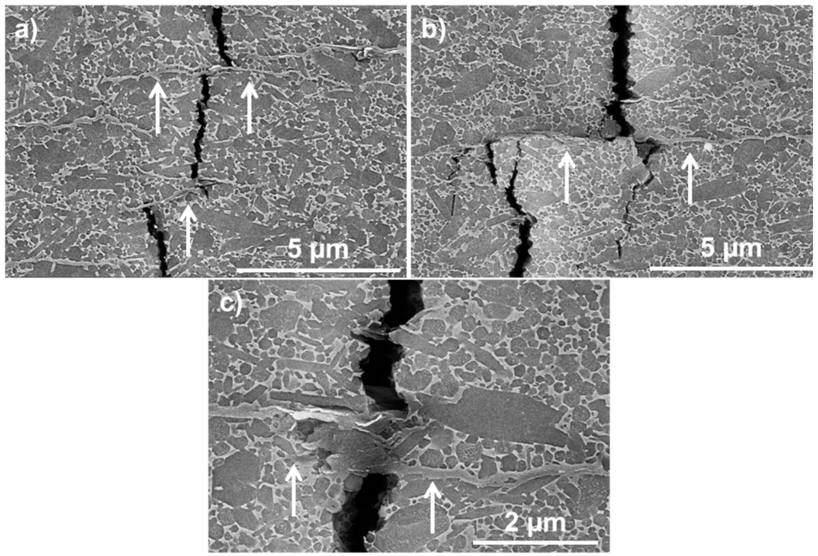 Ceramics 04 00002 g005