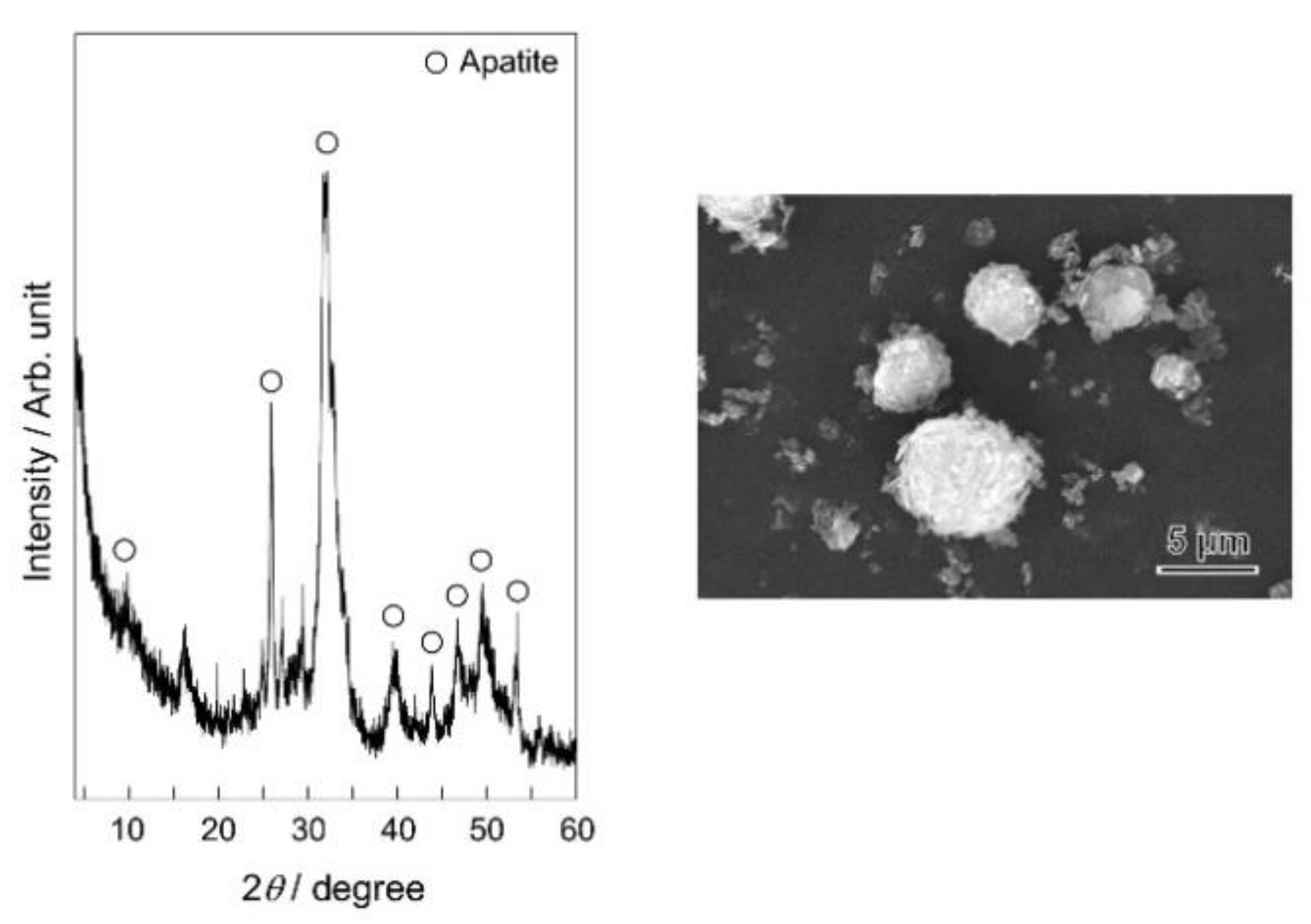 Ceramics 04 00023 g001