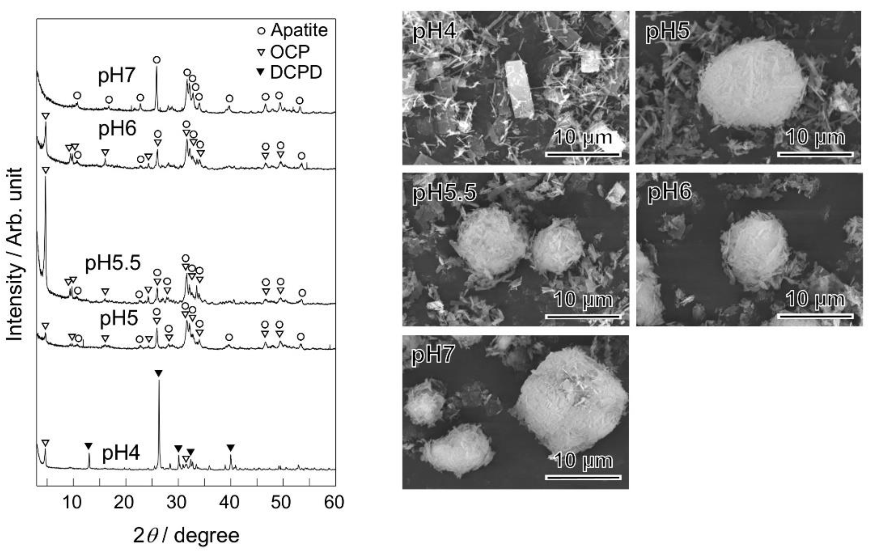 Ceramics 04 00023 g002