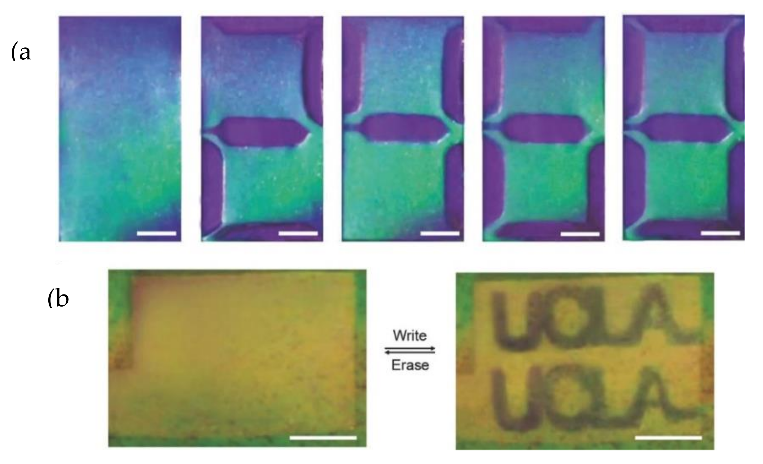 Ceramics 04 00038 g011