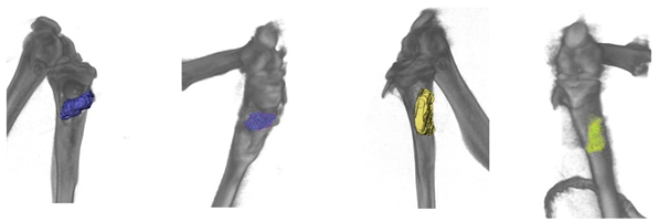 Ceramics 05 00026 i002