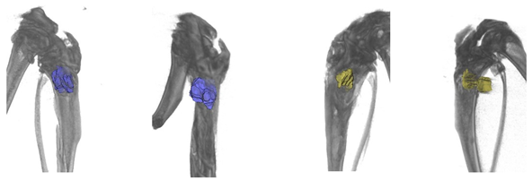 Ceramics 05 00026 i004