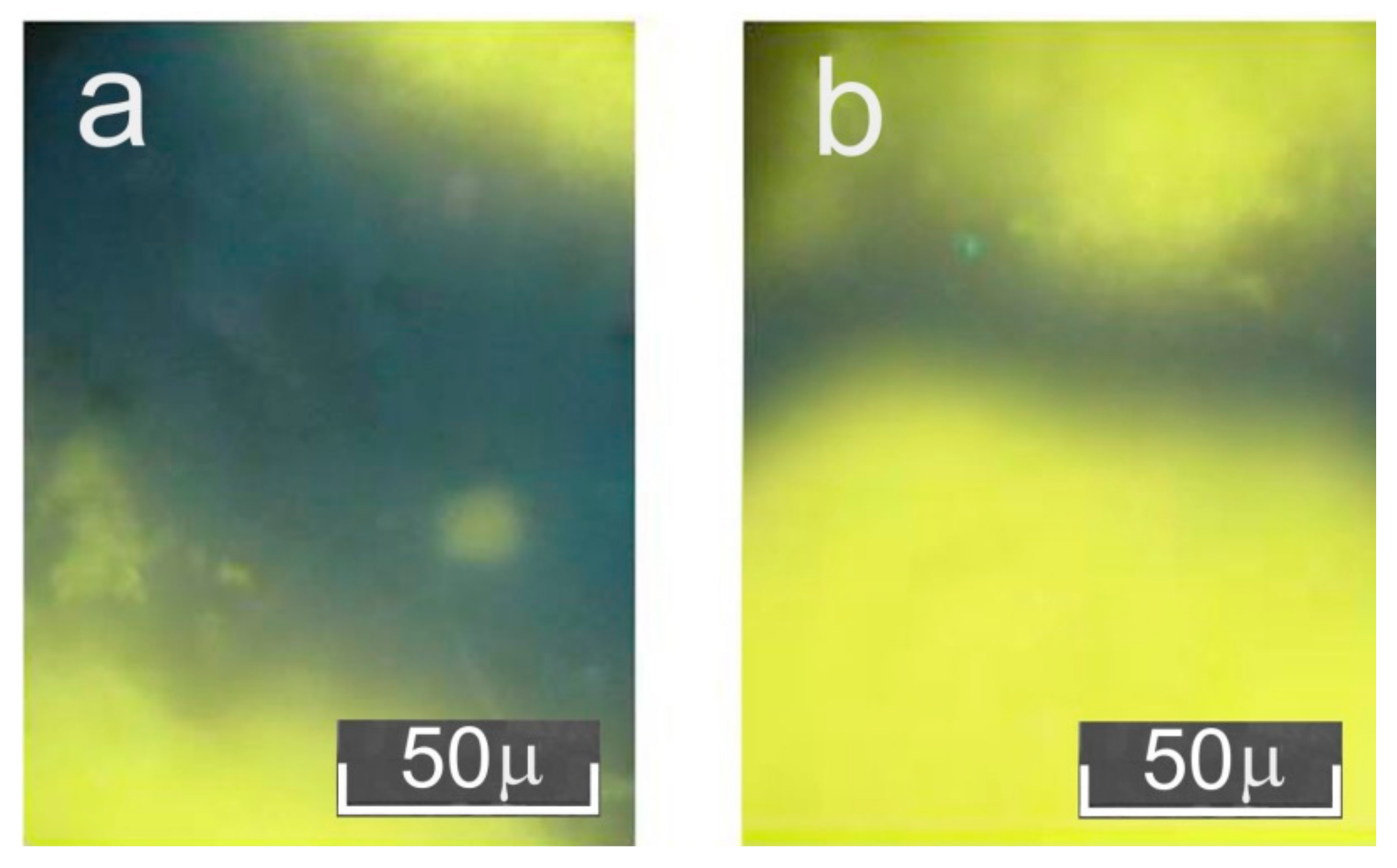 Ceramics 05 00038 g004