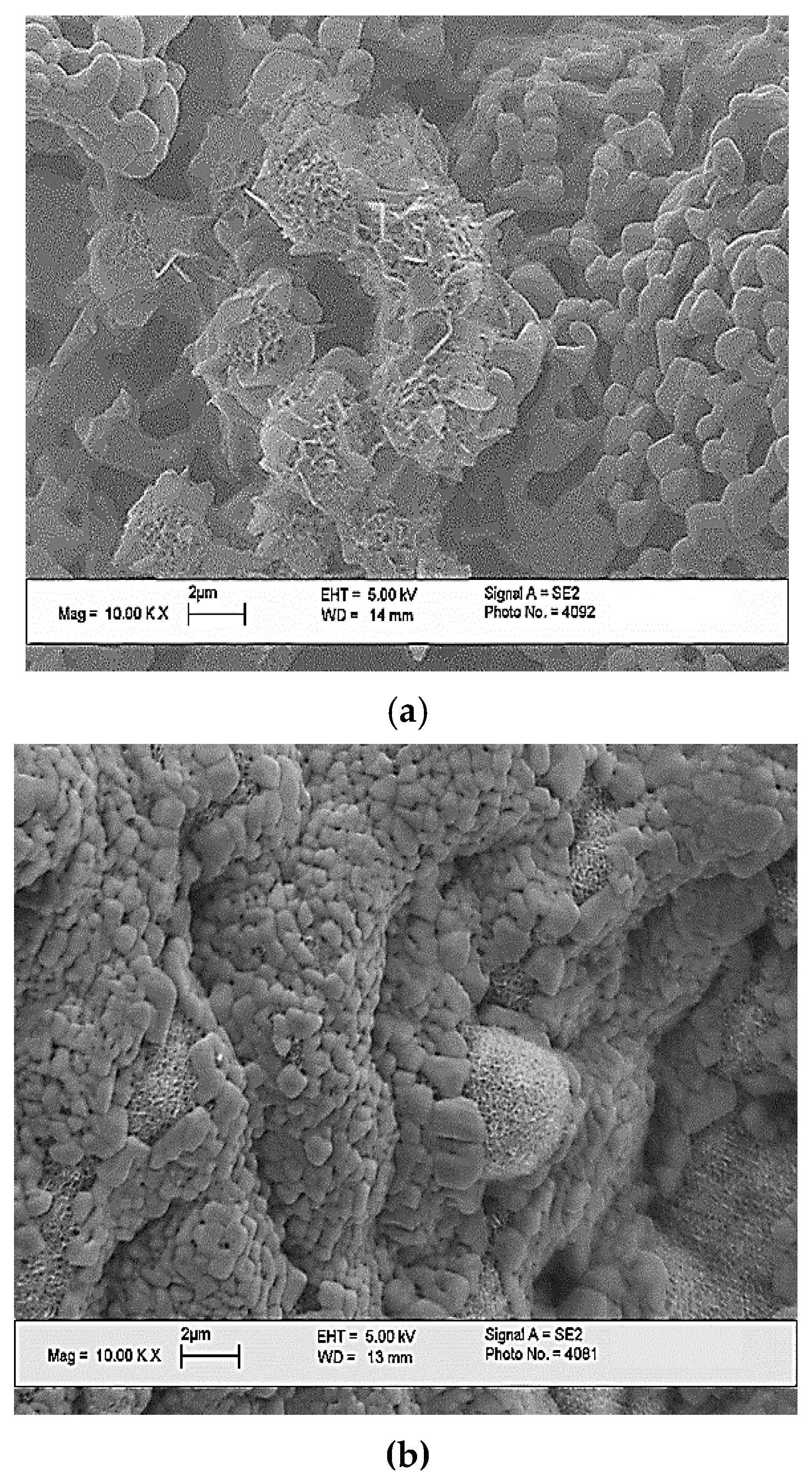 Ceramics 05 00039 g013