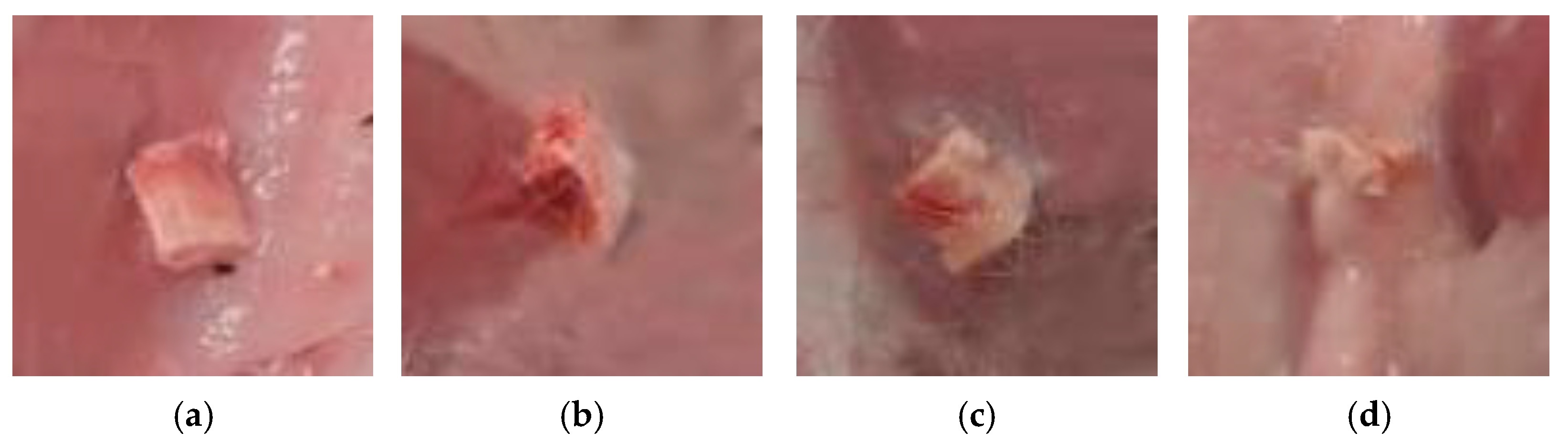 Ceramics 05 00039 g015