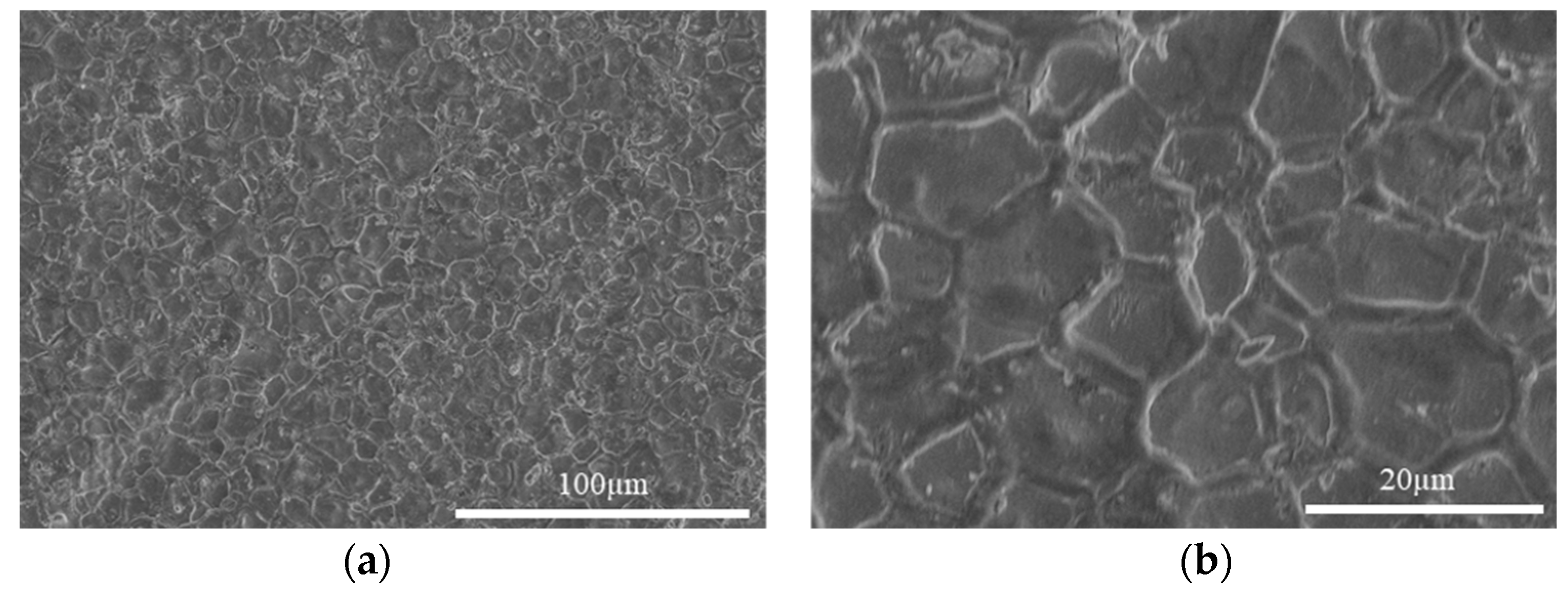 Ceramics 05 00072 g006 Ceramics 05 00072 g006