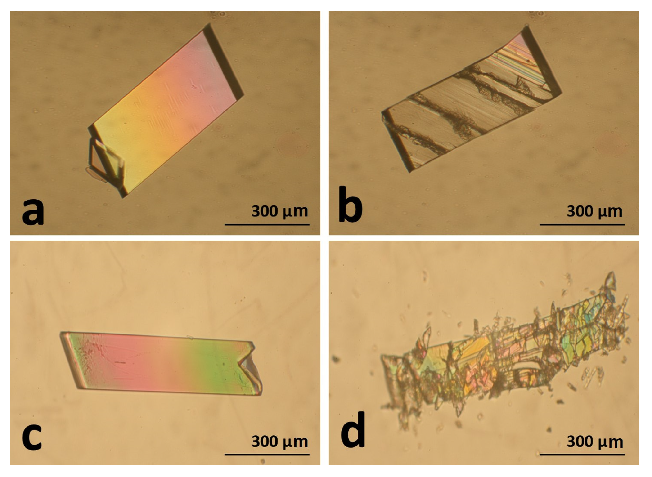 Ceramics 06 00002 g002 Ceramics 06 00002 g002