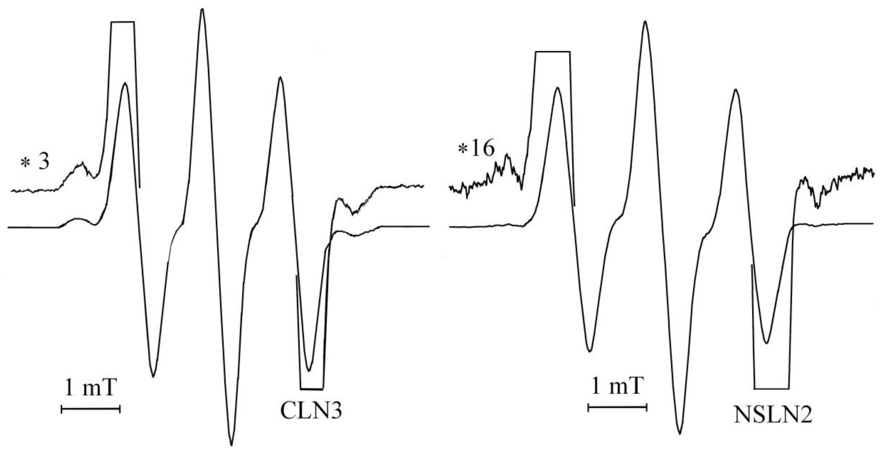 Ceramics 06 00025 g008 Ceramics 06 00025 g008