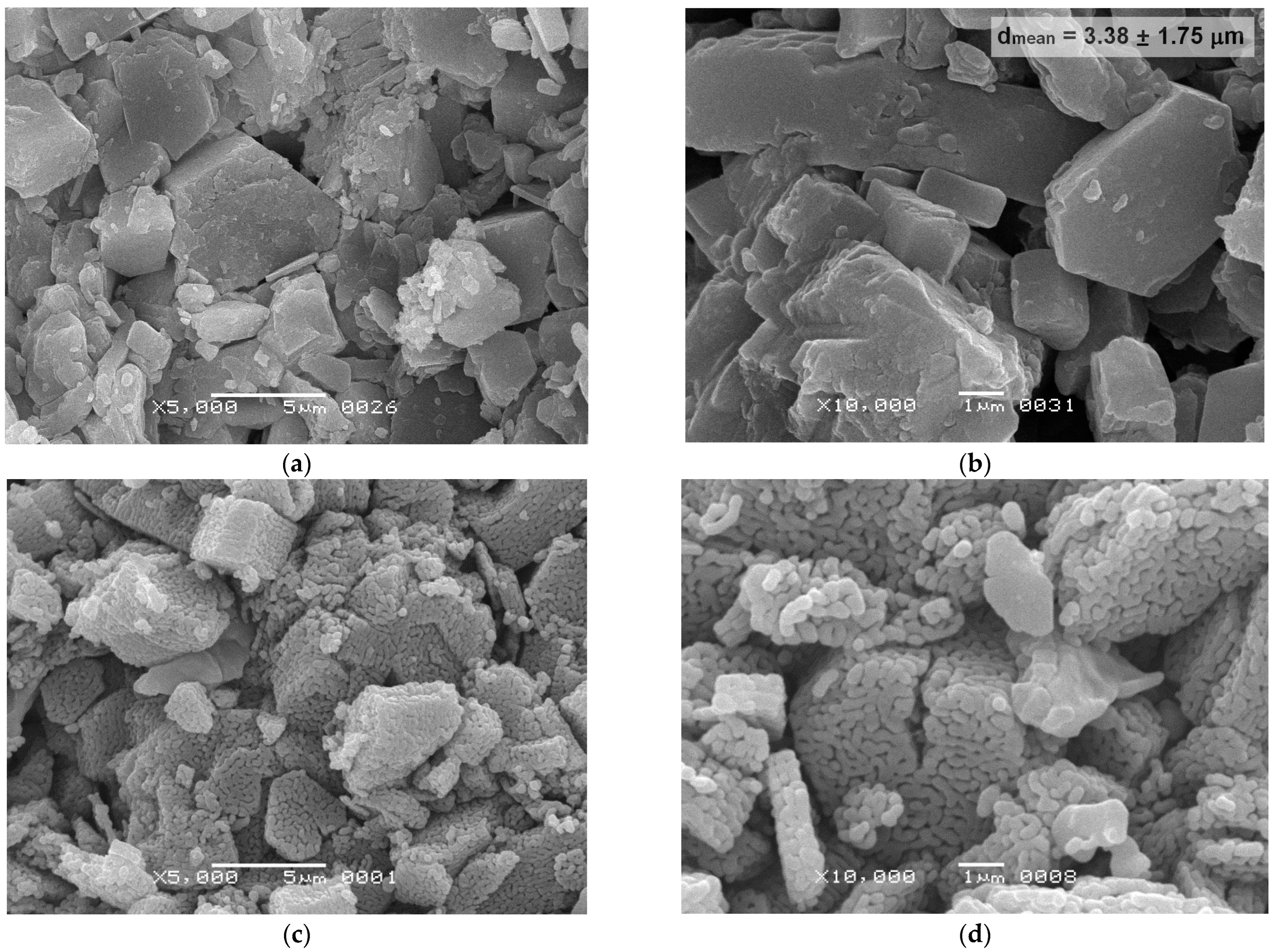 Ceramics 06 00066 g008