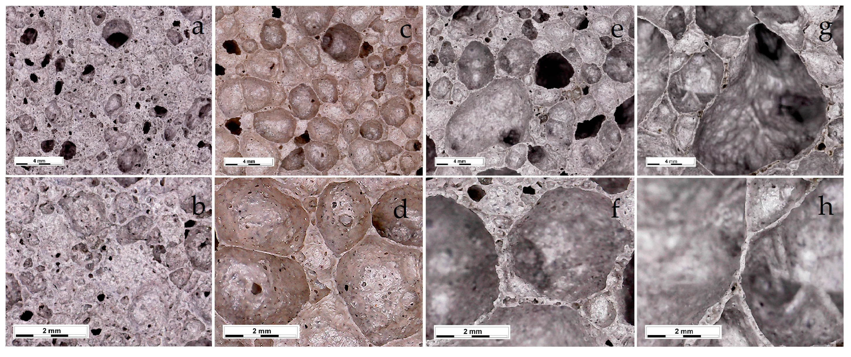 Ceramics 06 00068 g006