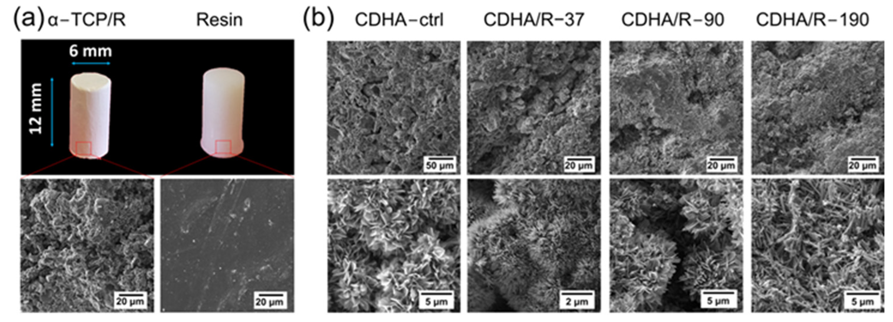 Ceramics 06 00139 g002