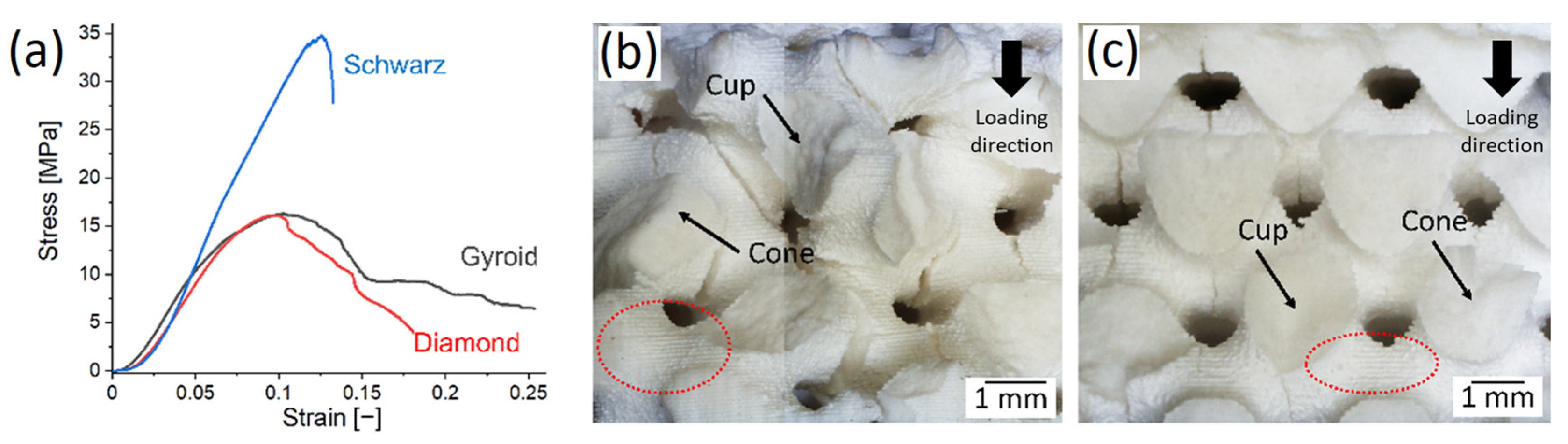 Ceramics 06 00139 g007