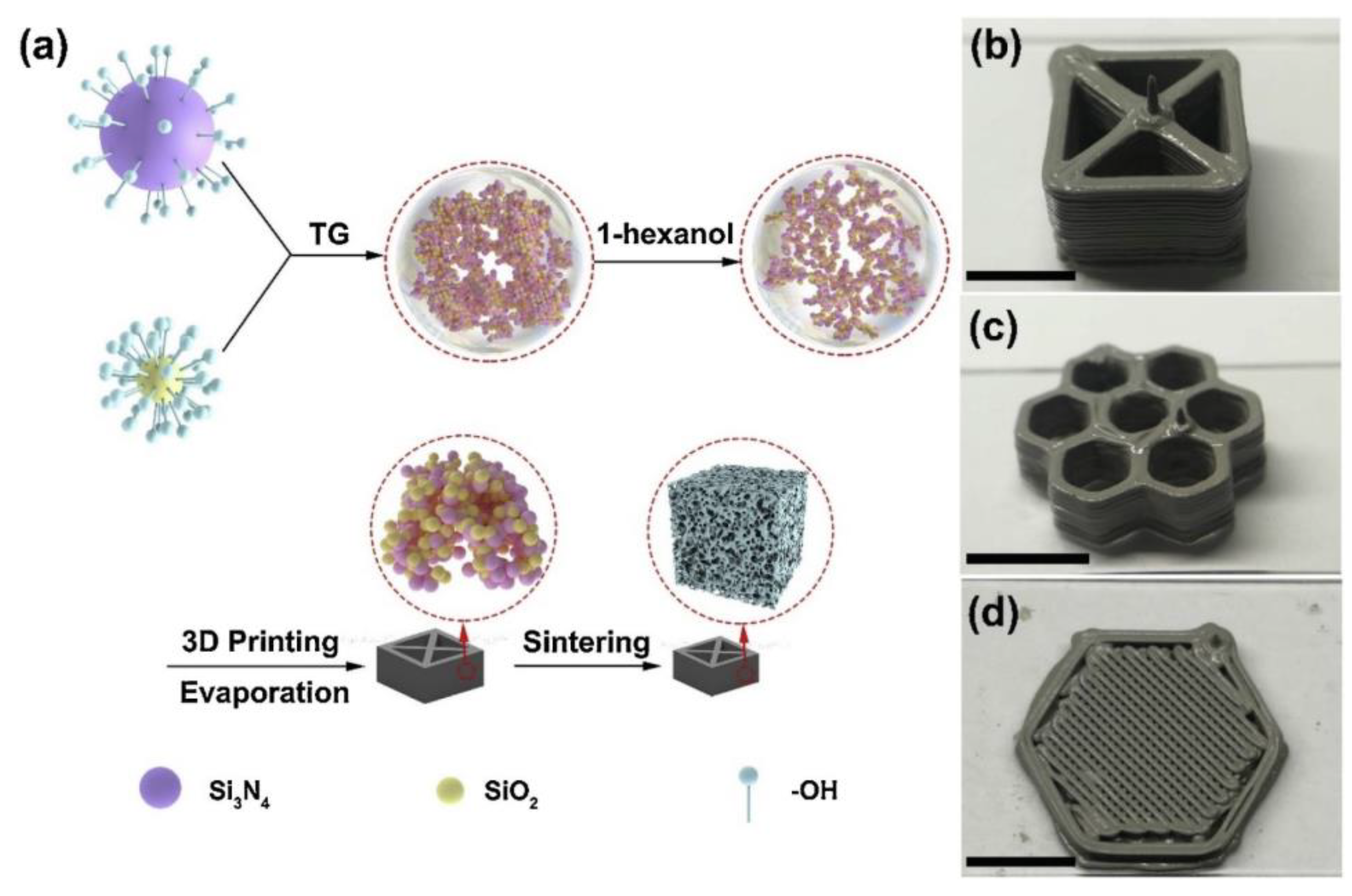 Ceramics 07 00006 g008