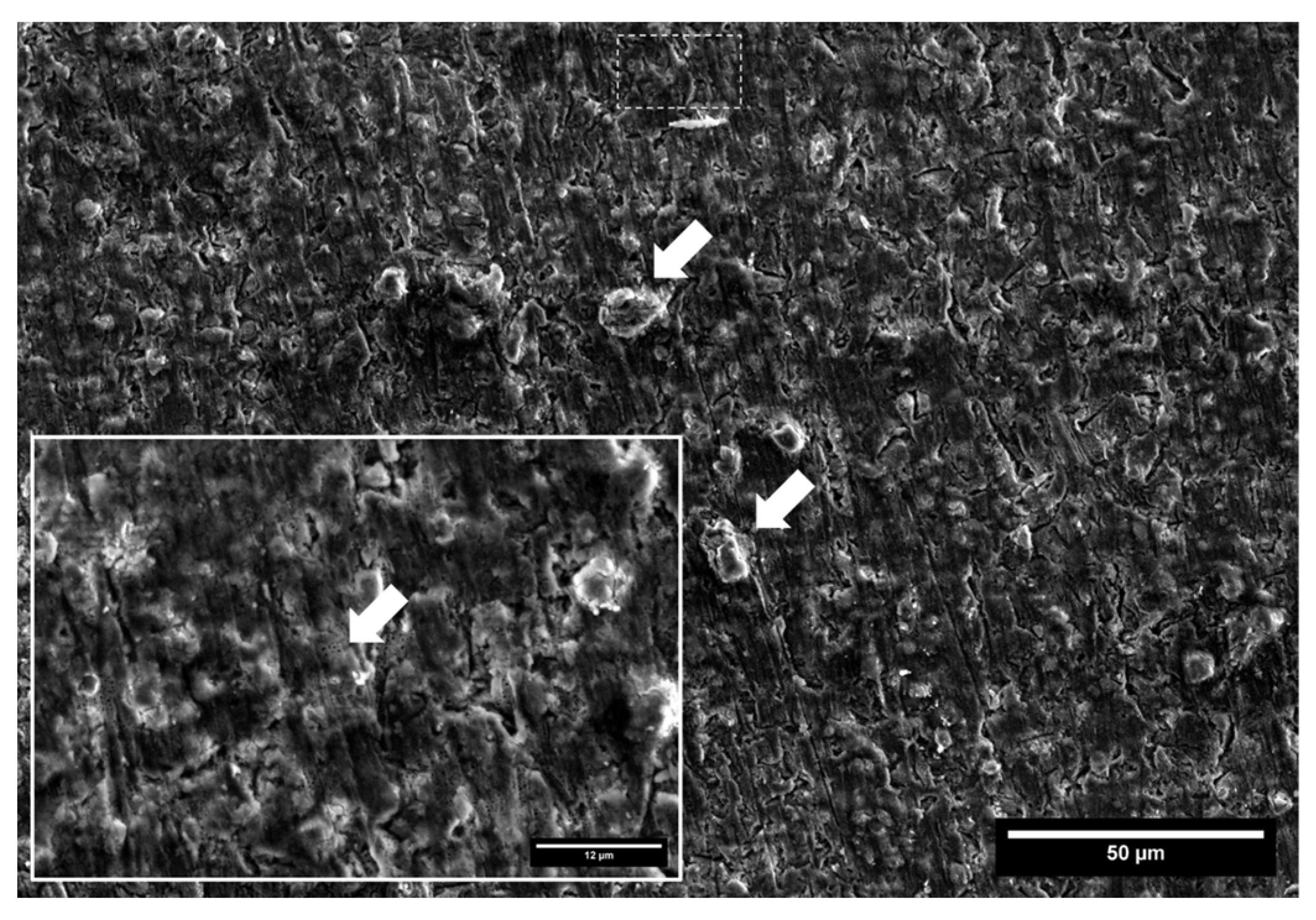 Ceramics 07 00039 g004