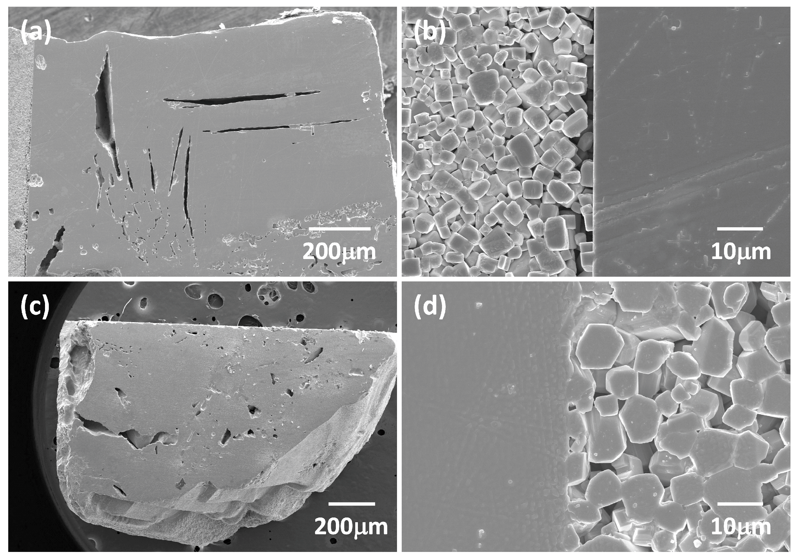 Ceramics 07 00055 g003