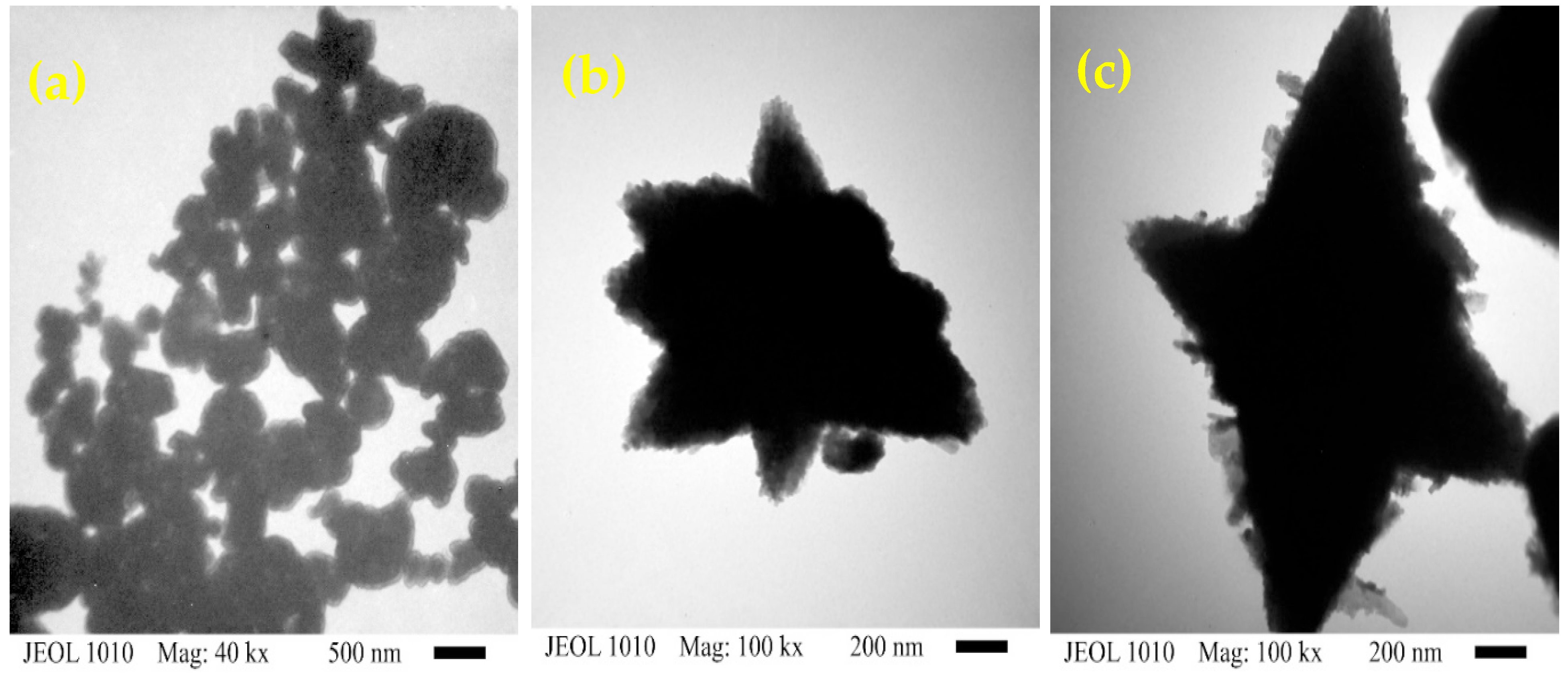 Ceramics 08 00019 g007