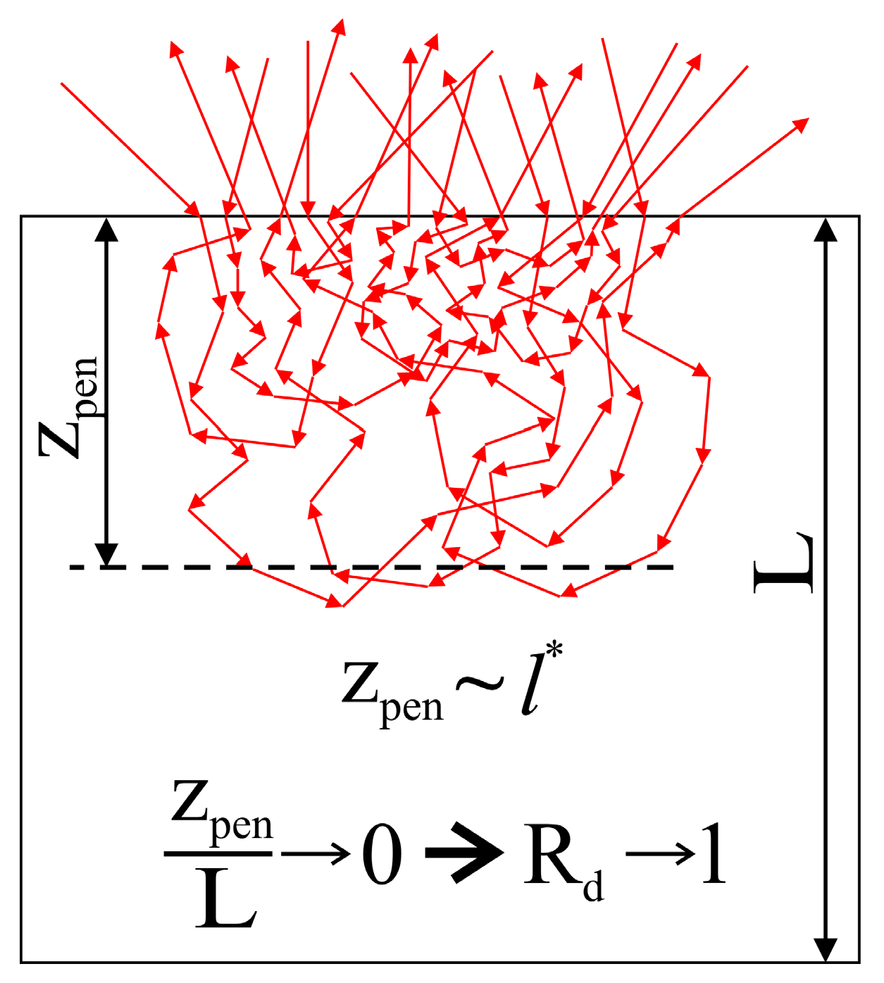Ceramics 08 00036 g005