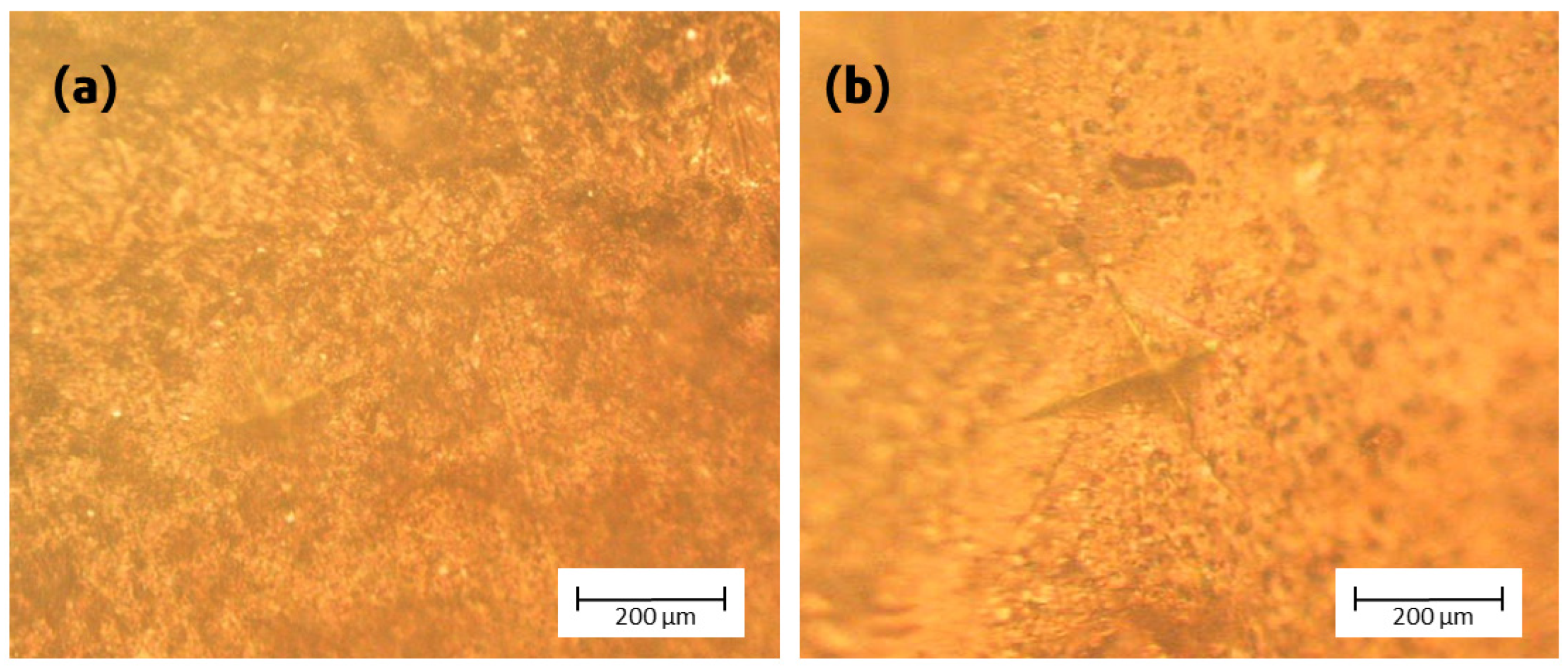 Ceramics 08 00043 g010