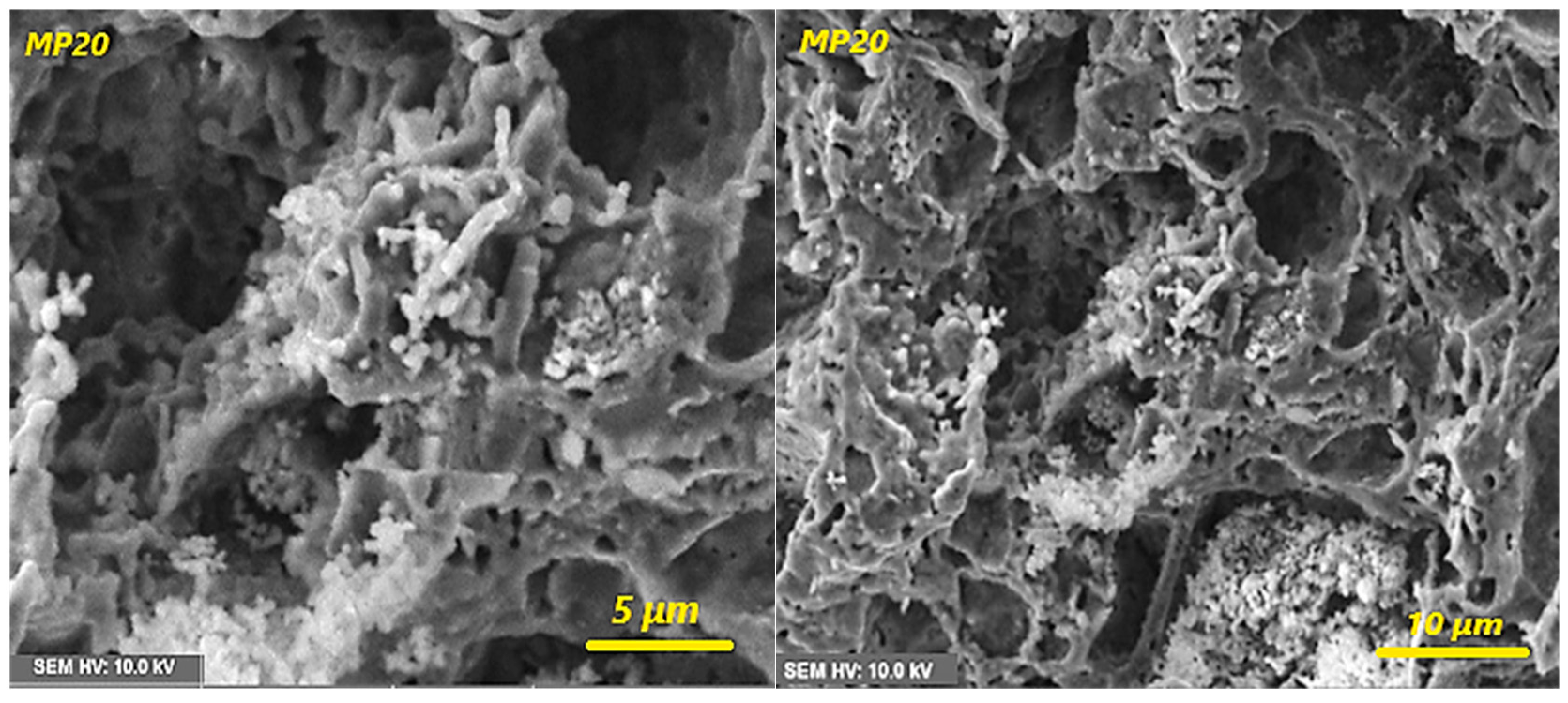 Ceramics 08 00048 g010